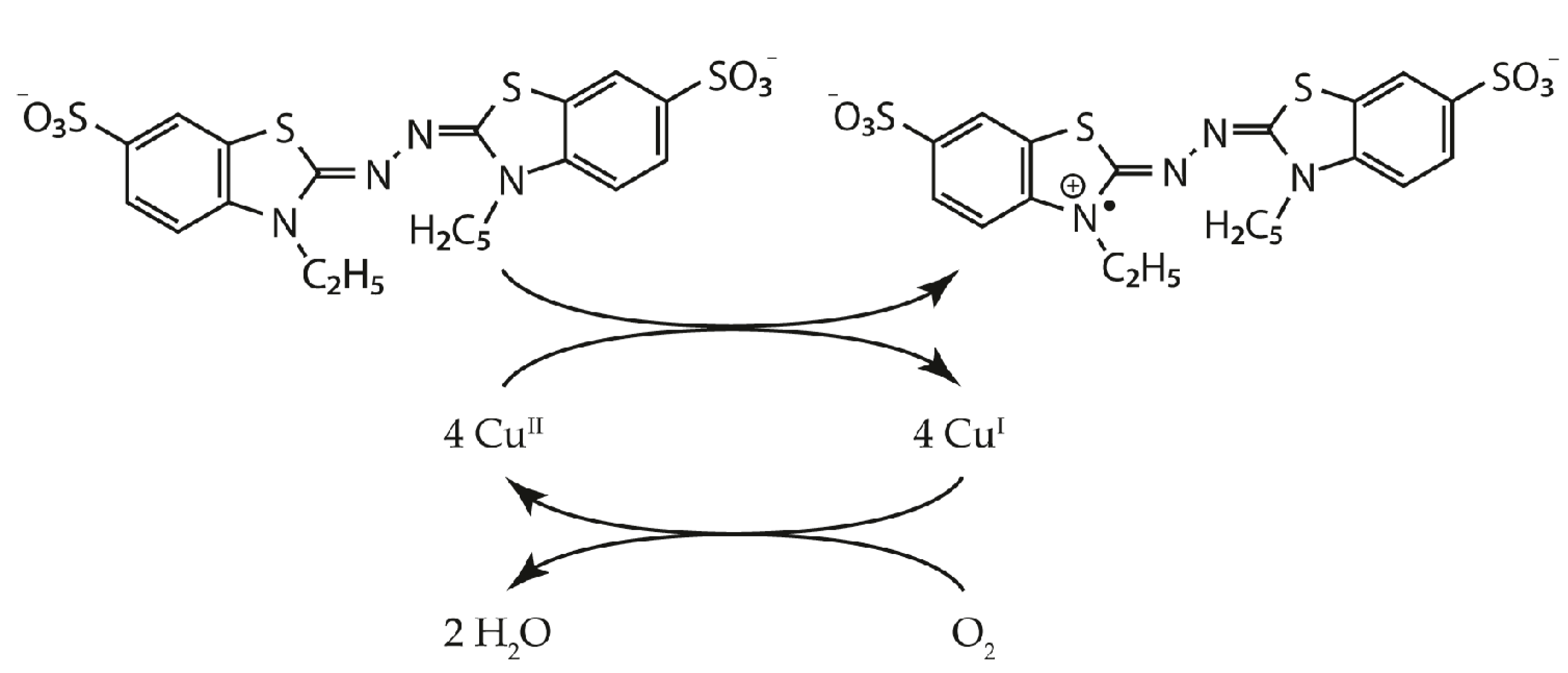 Biomolecules 11 00828 g001 Biomolecules 11 00828 g001