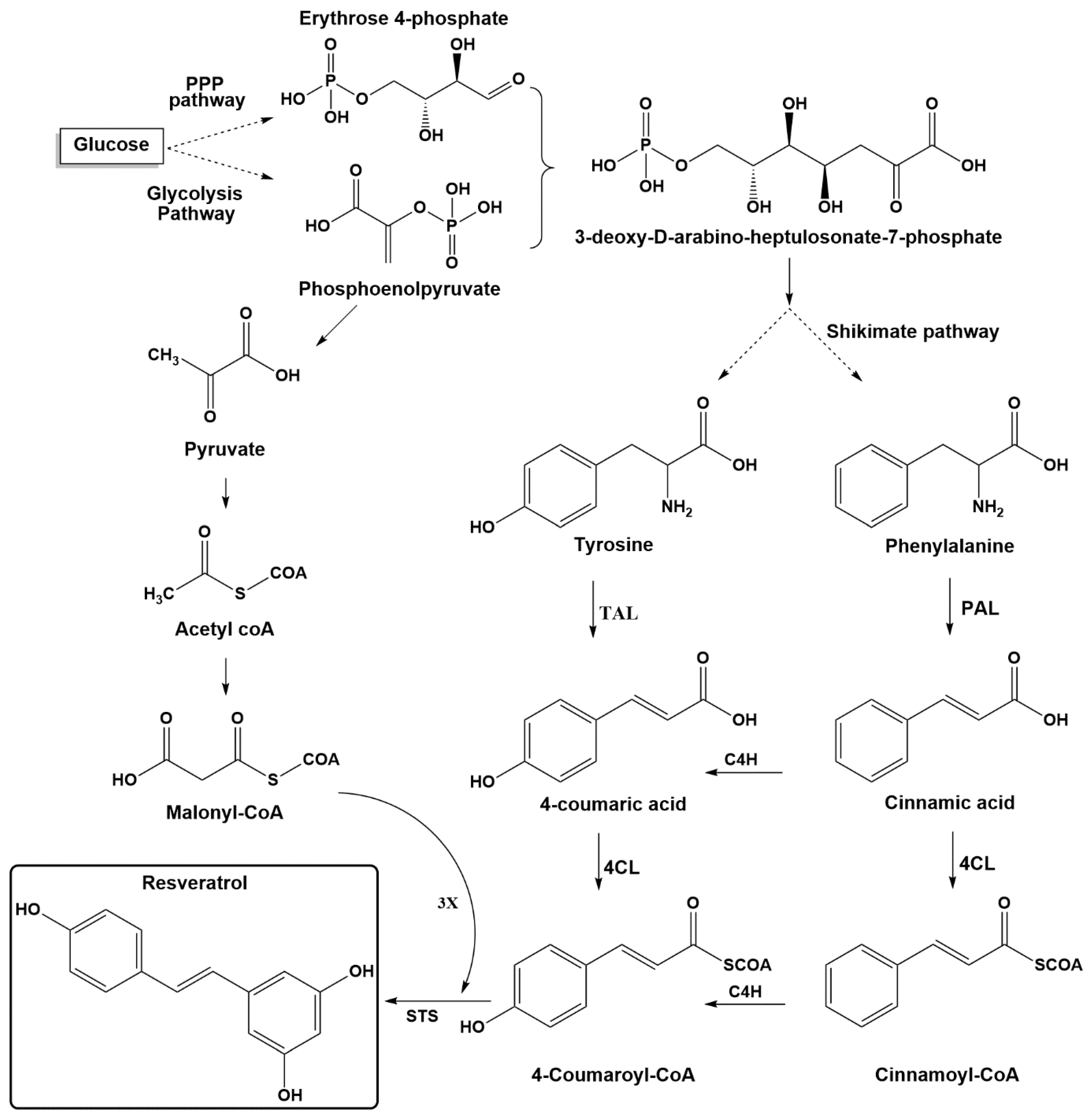Biomolecules 11 00830 g002 Biomolecules 11 00830 g002