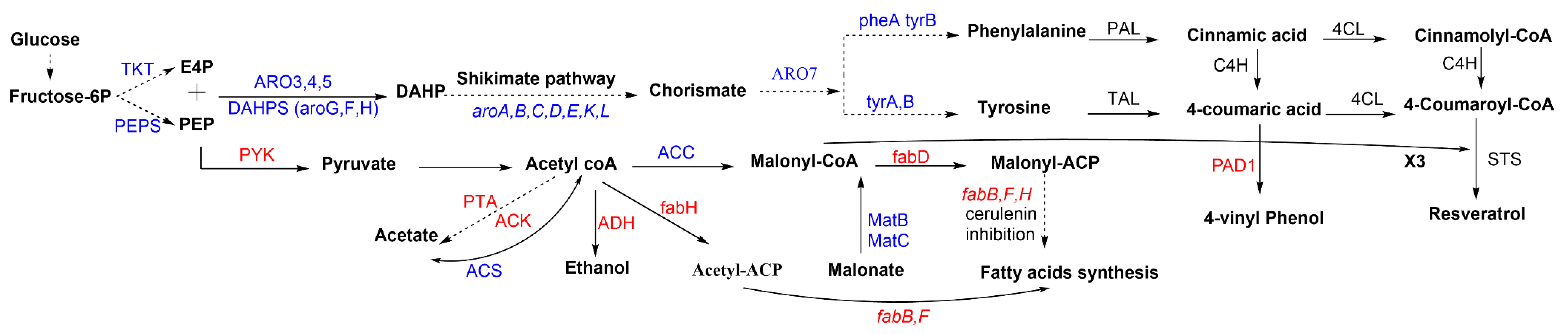 Biomolecules 11 00830 g003 Biomolecules 11 00830 g003