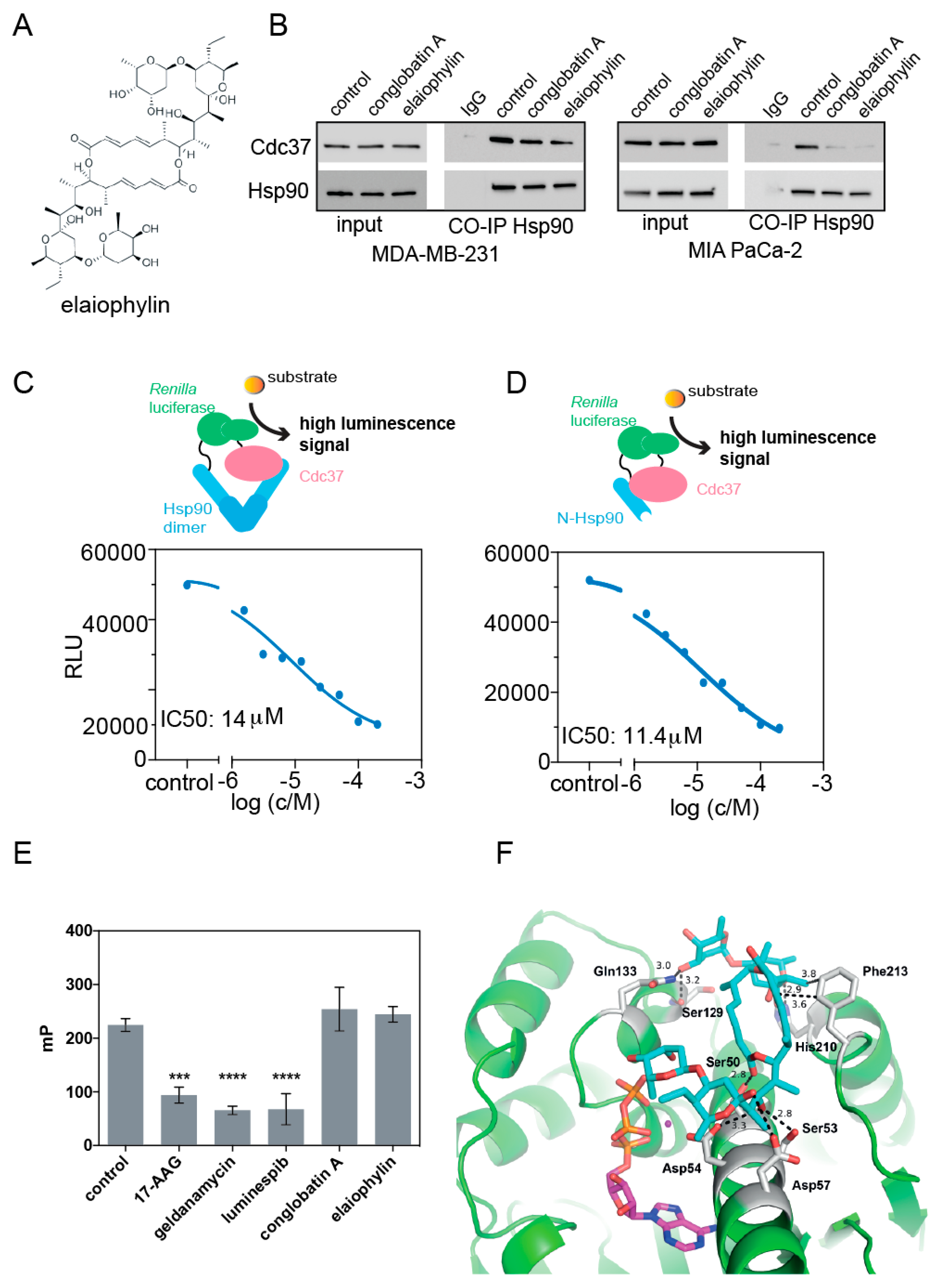 Biomolecules 11 00836 g001 Biomolecules 11 00836 g001