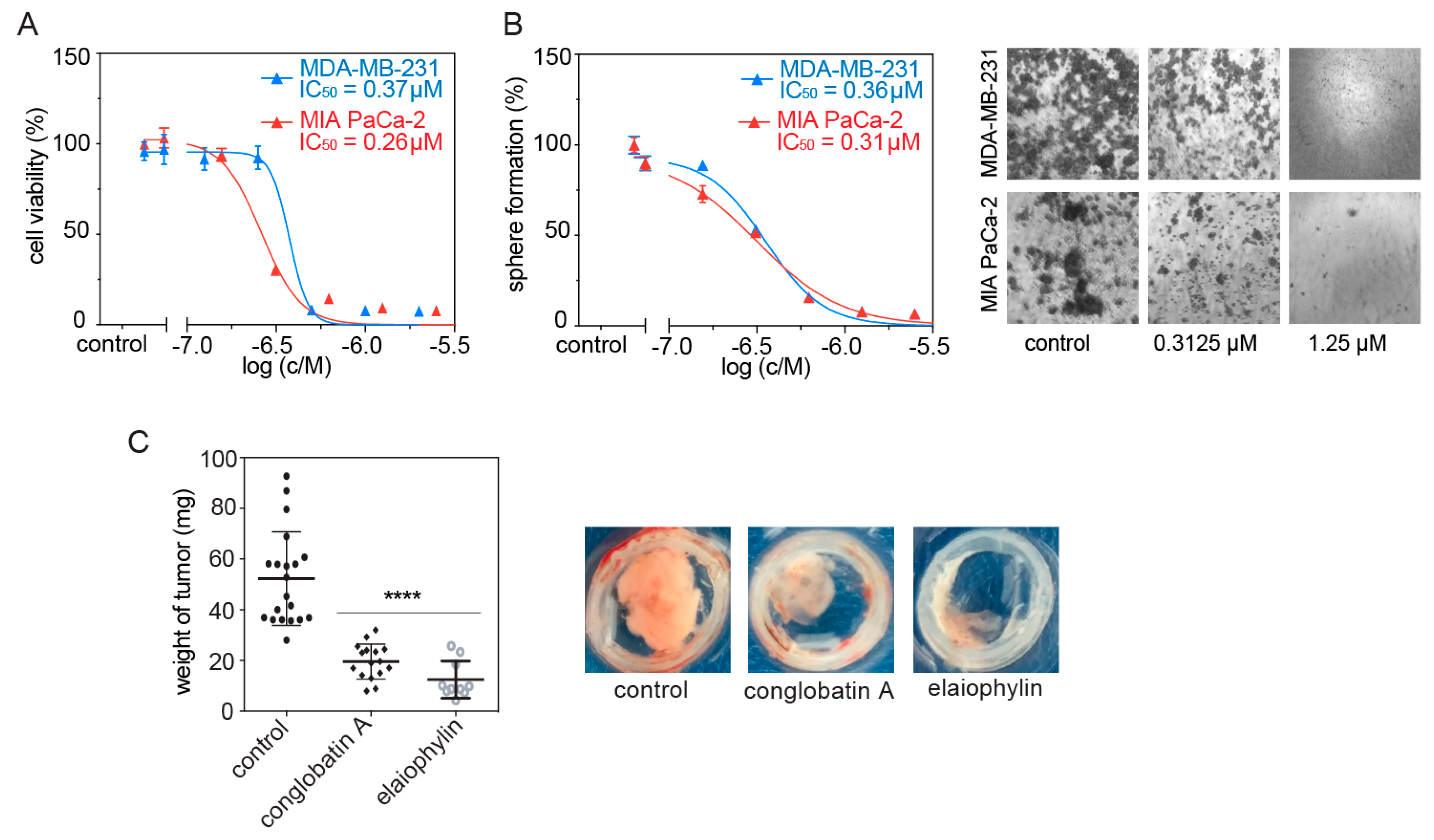 Biomolecules 11 00836 g003 Biomolecules 11 00836 g003