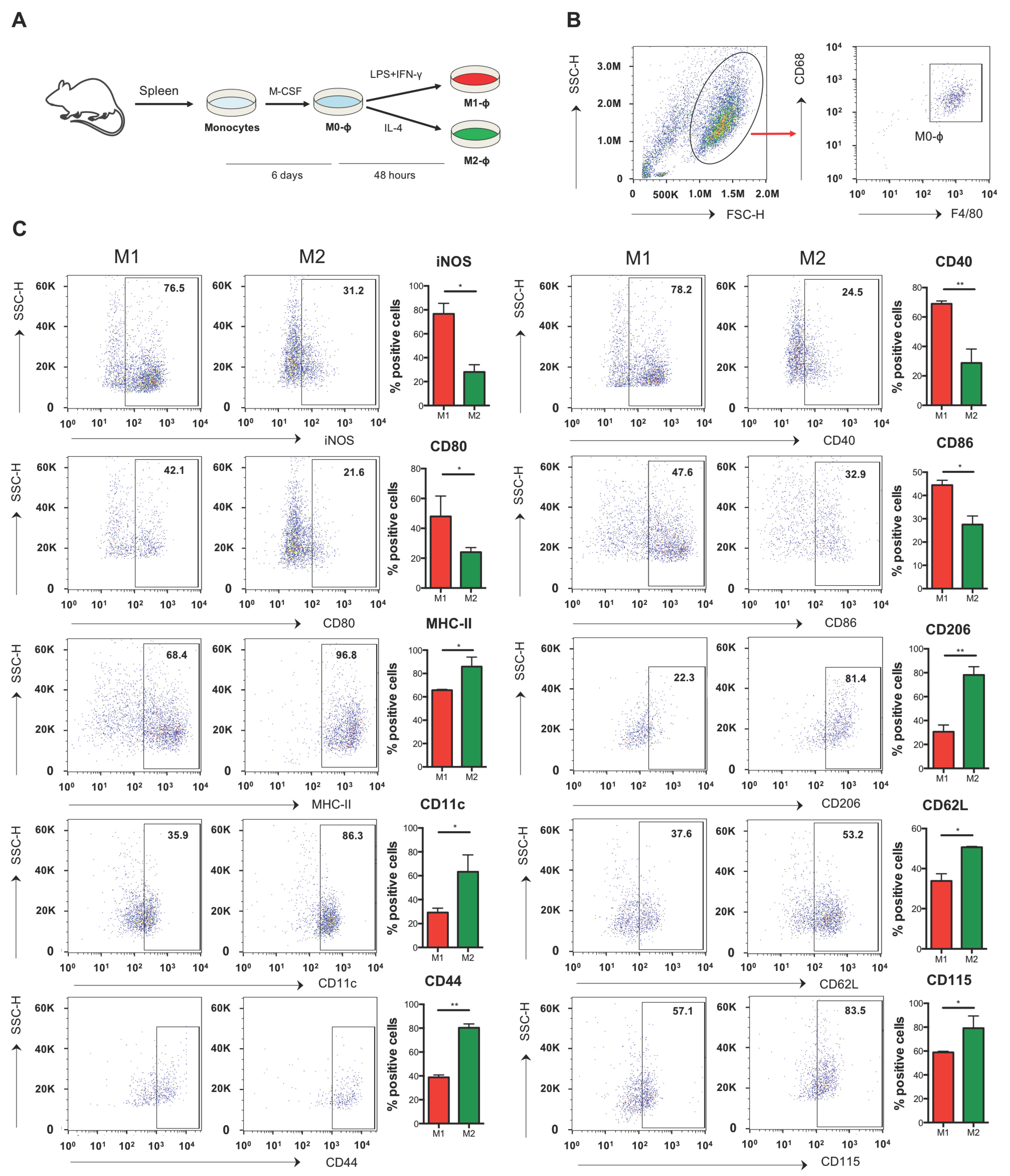 Biomolecules 11 00837 g001