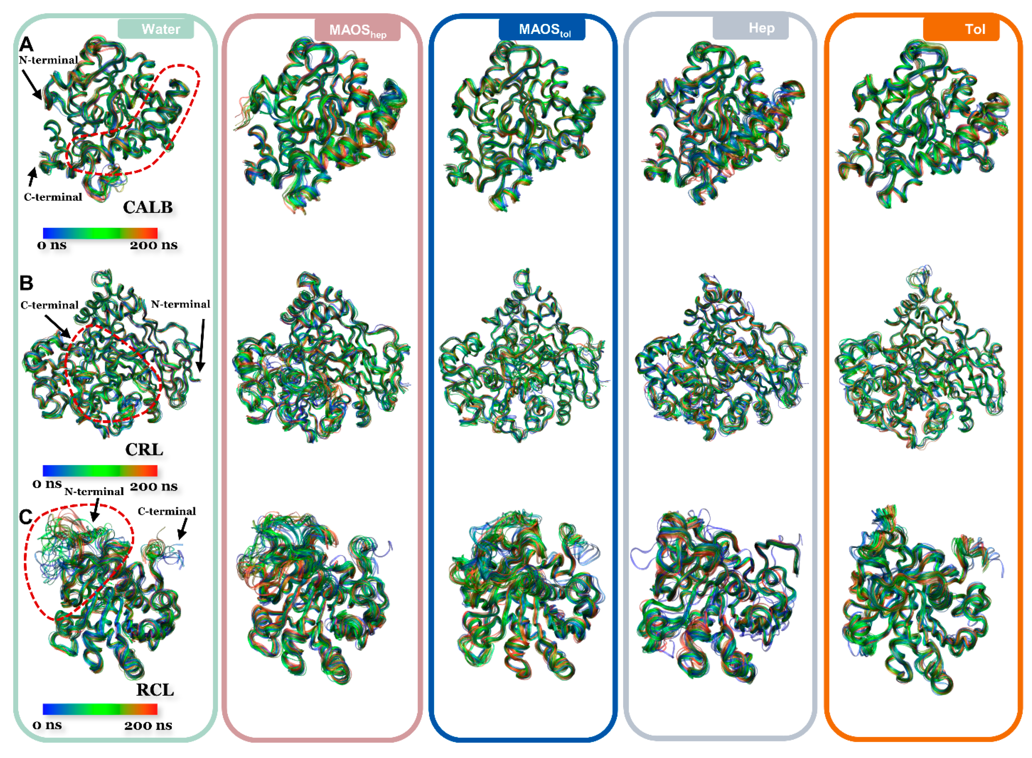 Biomolecules 11 00848 g001