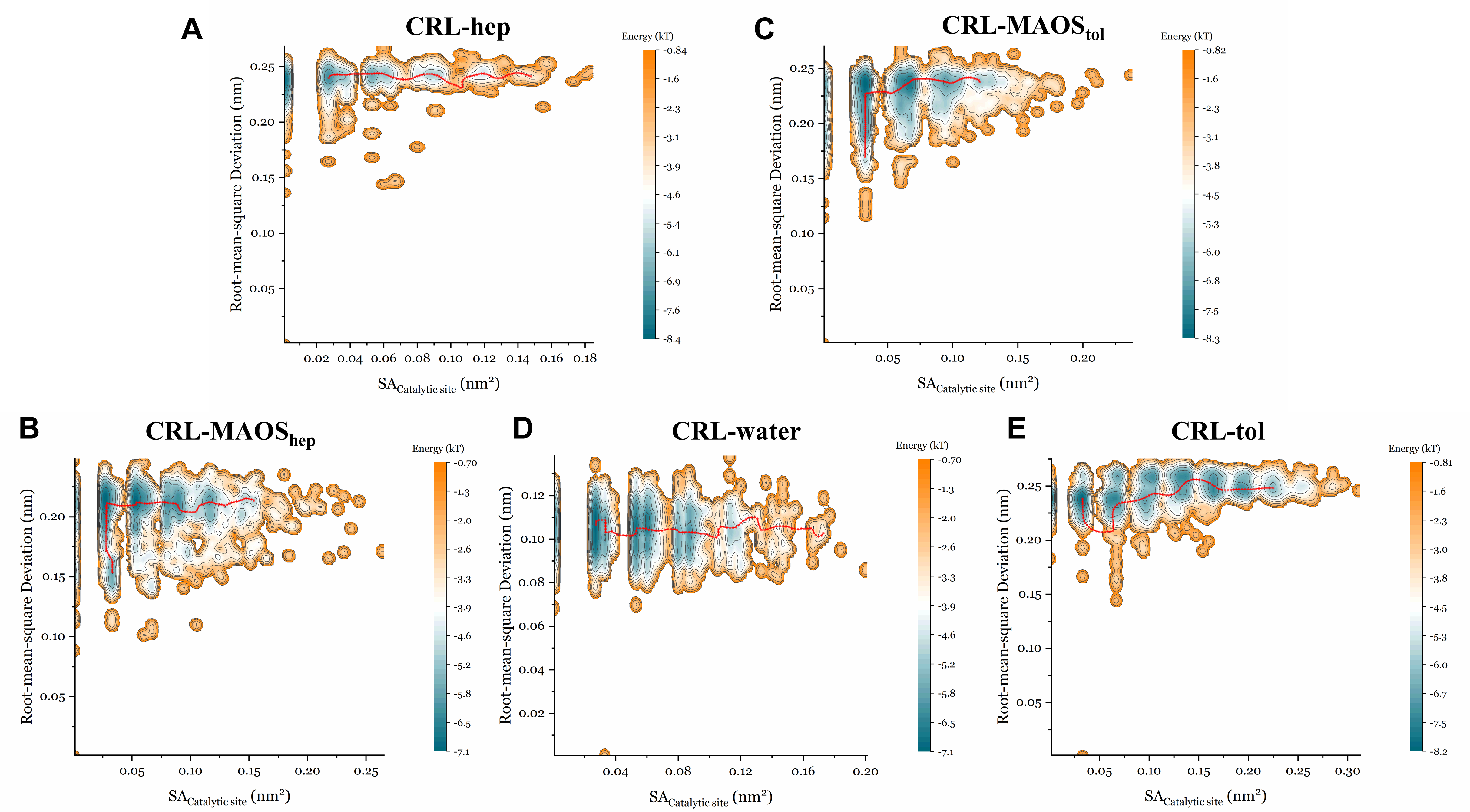 Biomolecules 11 00848 g006