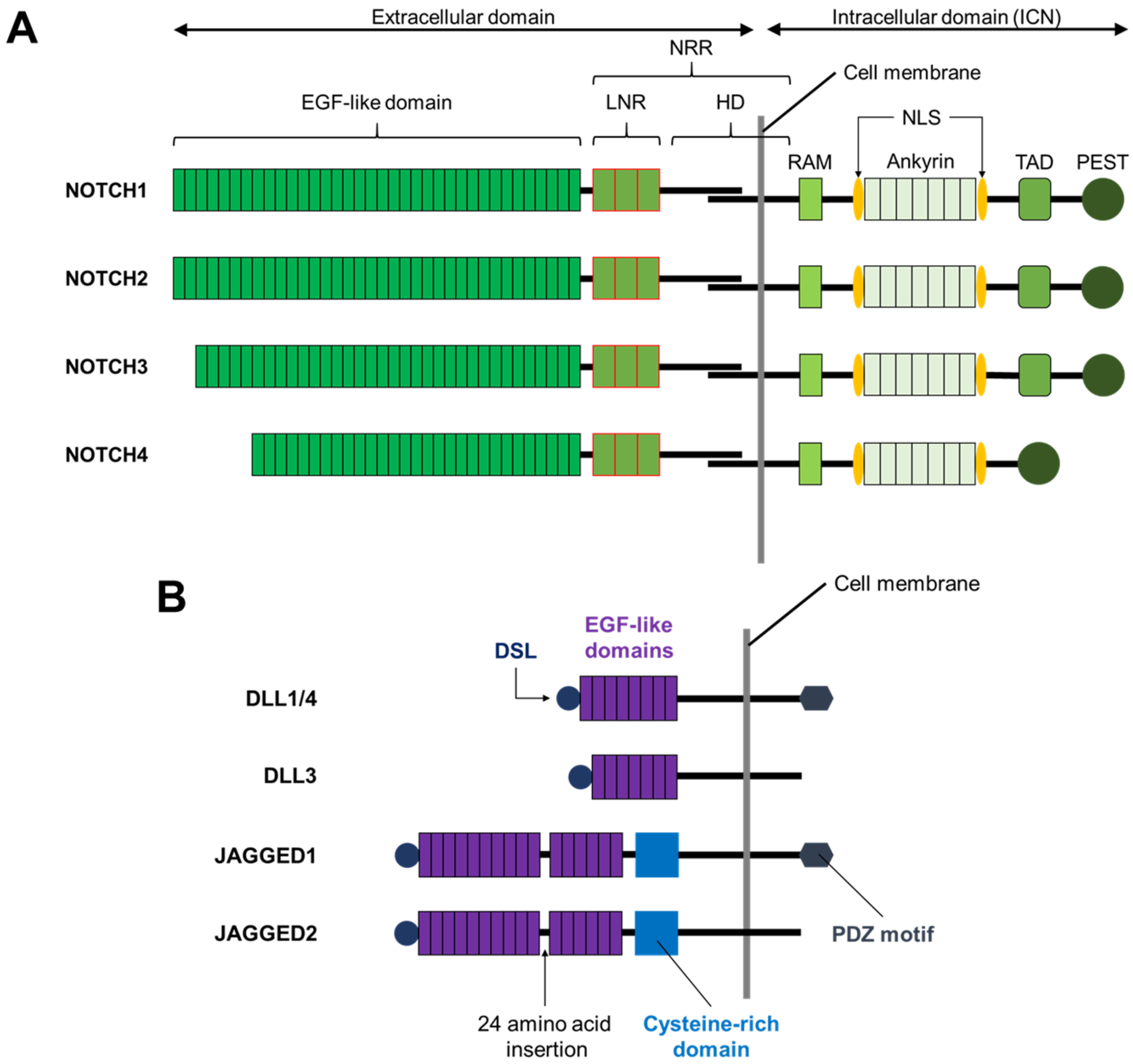 Biomolecules 11 00849 g001