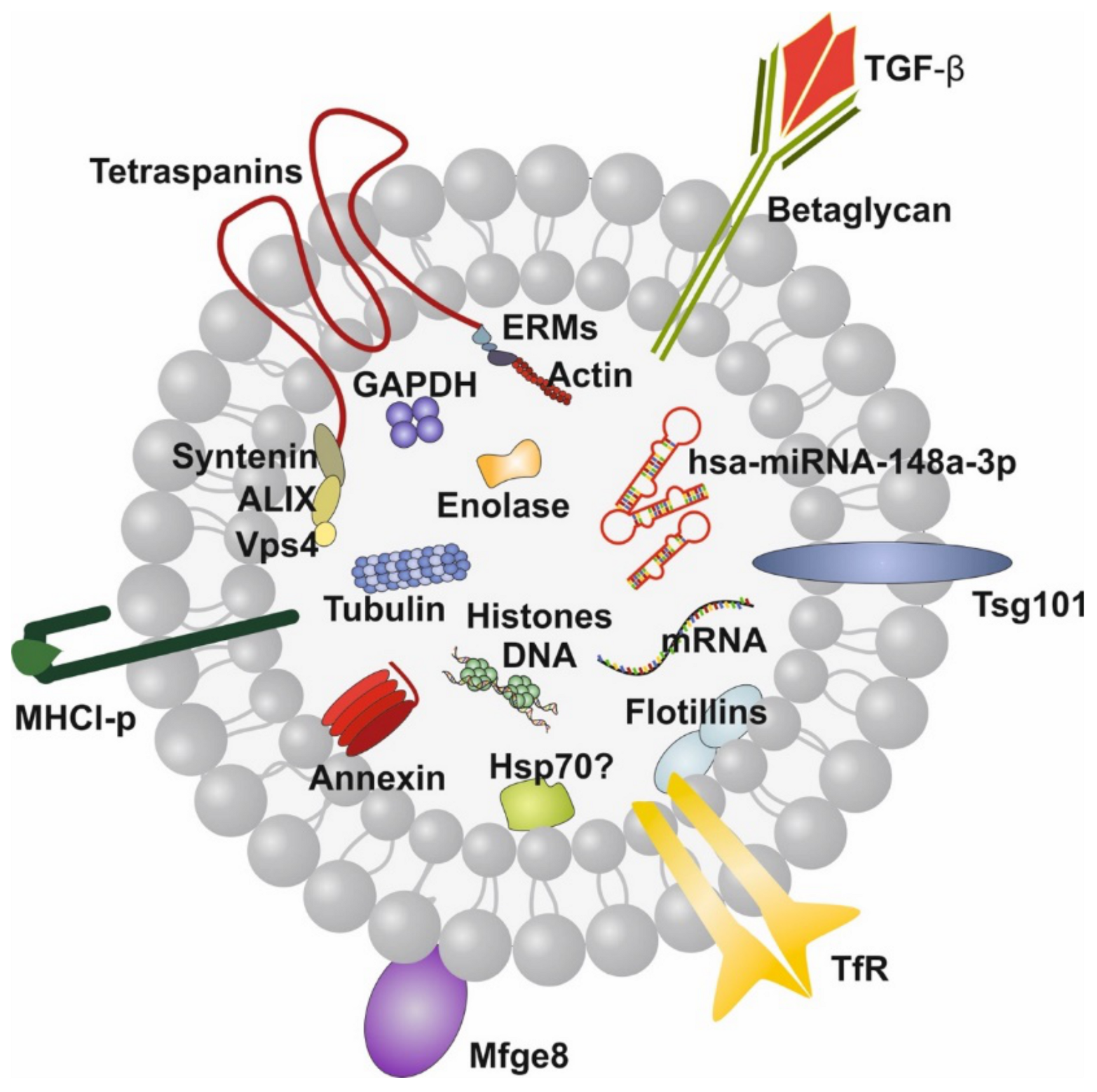 Biomolecules 11 00851 g001