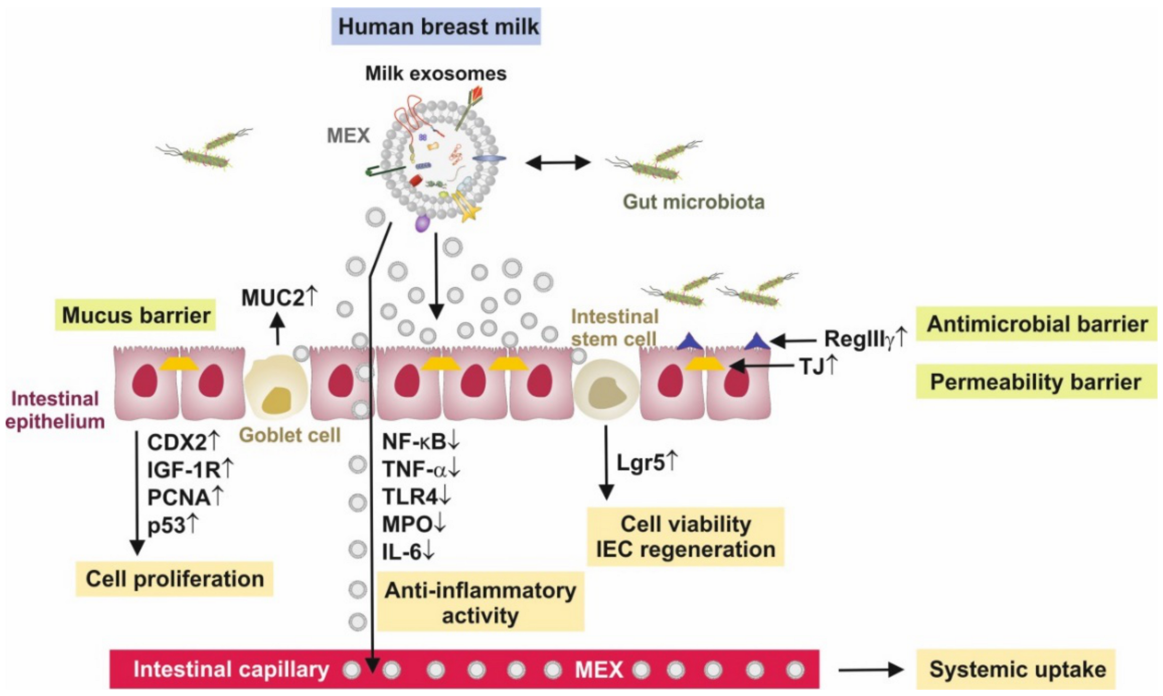 Biomolecules 11 00851 g002