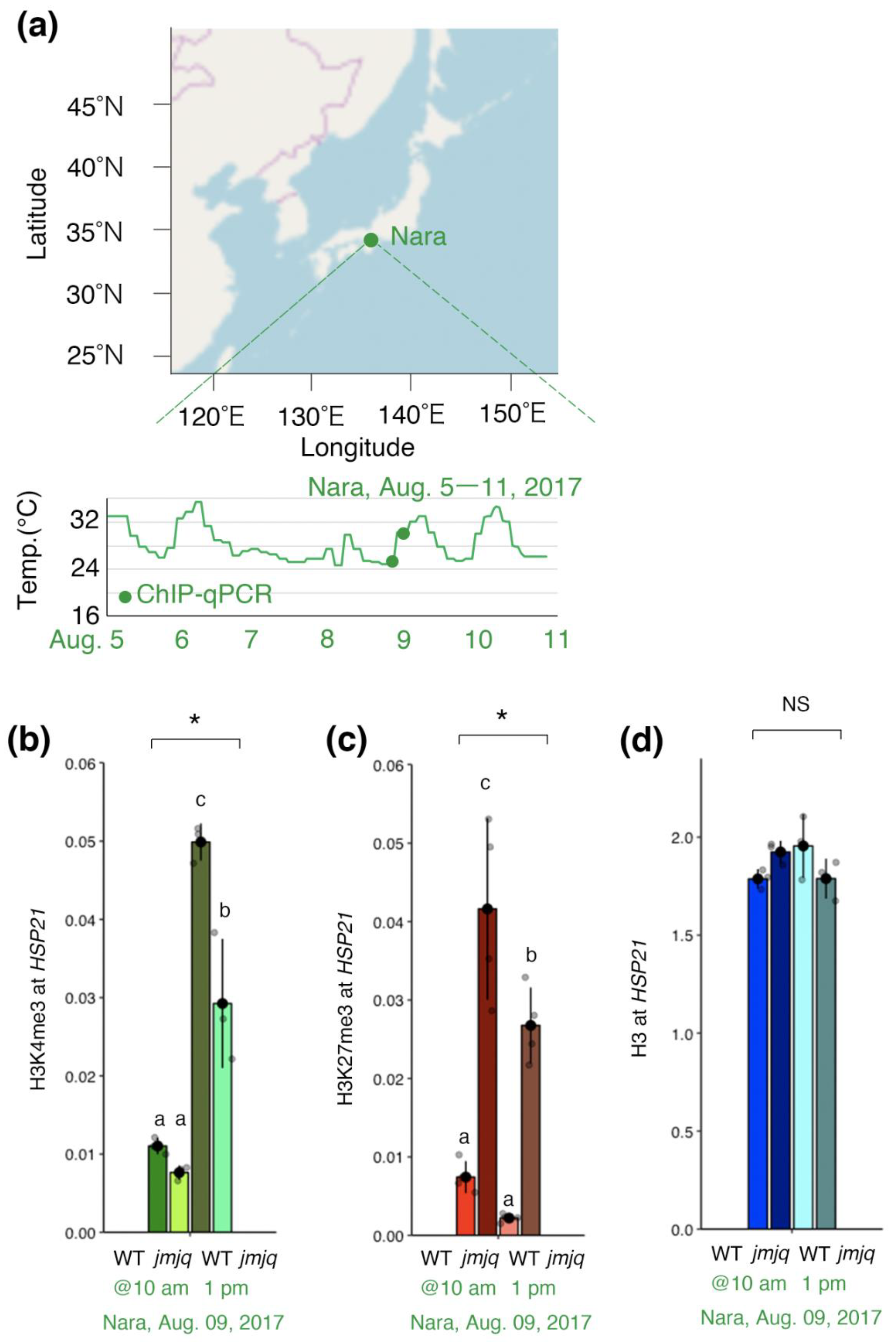 Biomolecules 11 00852 g004