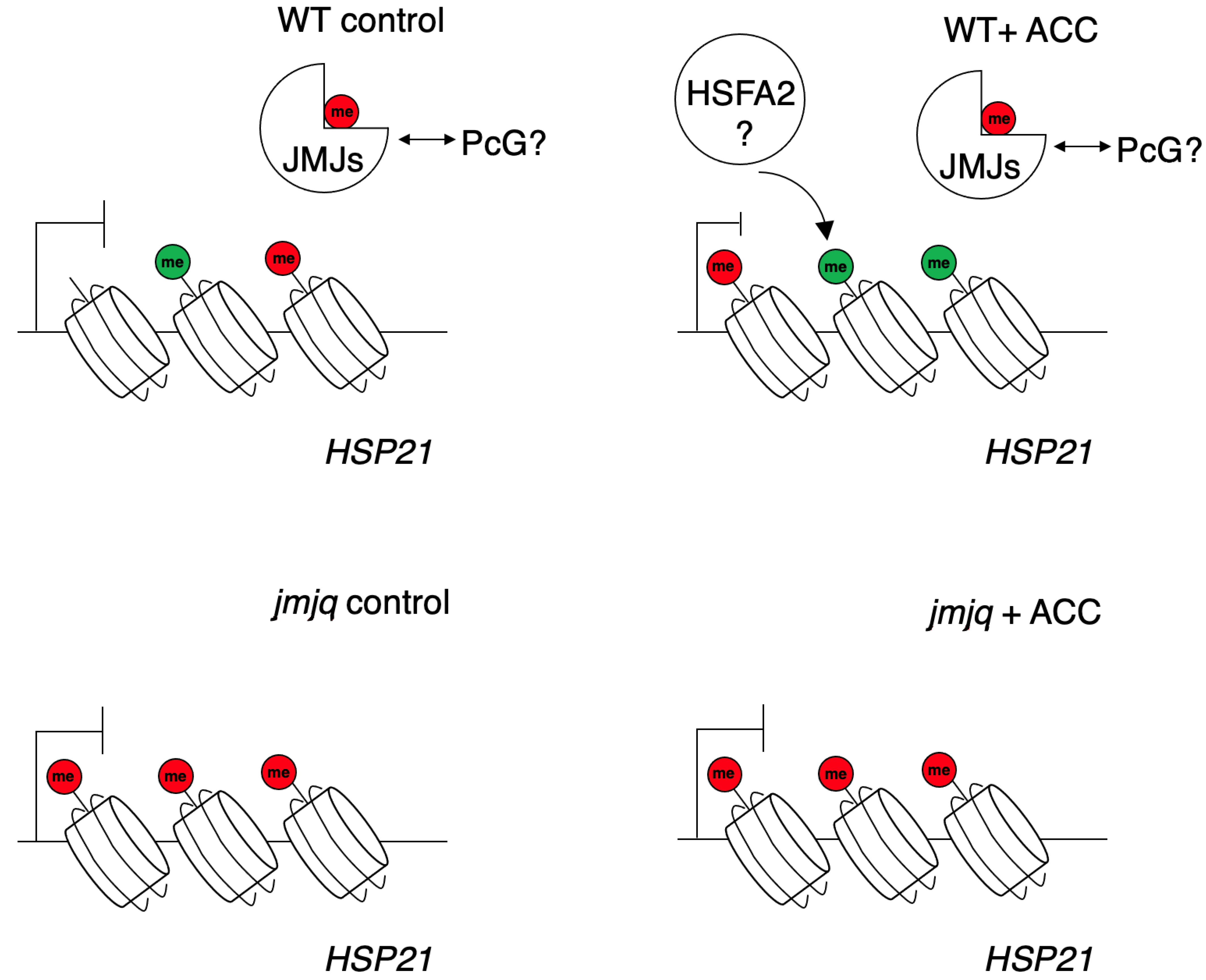 Biomolecules 11 00852 g005
