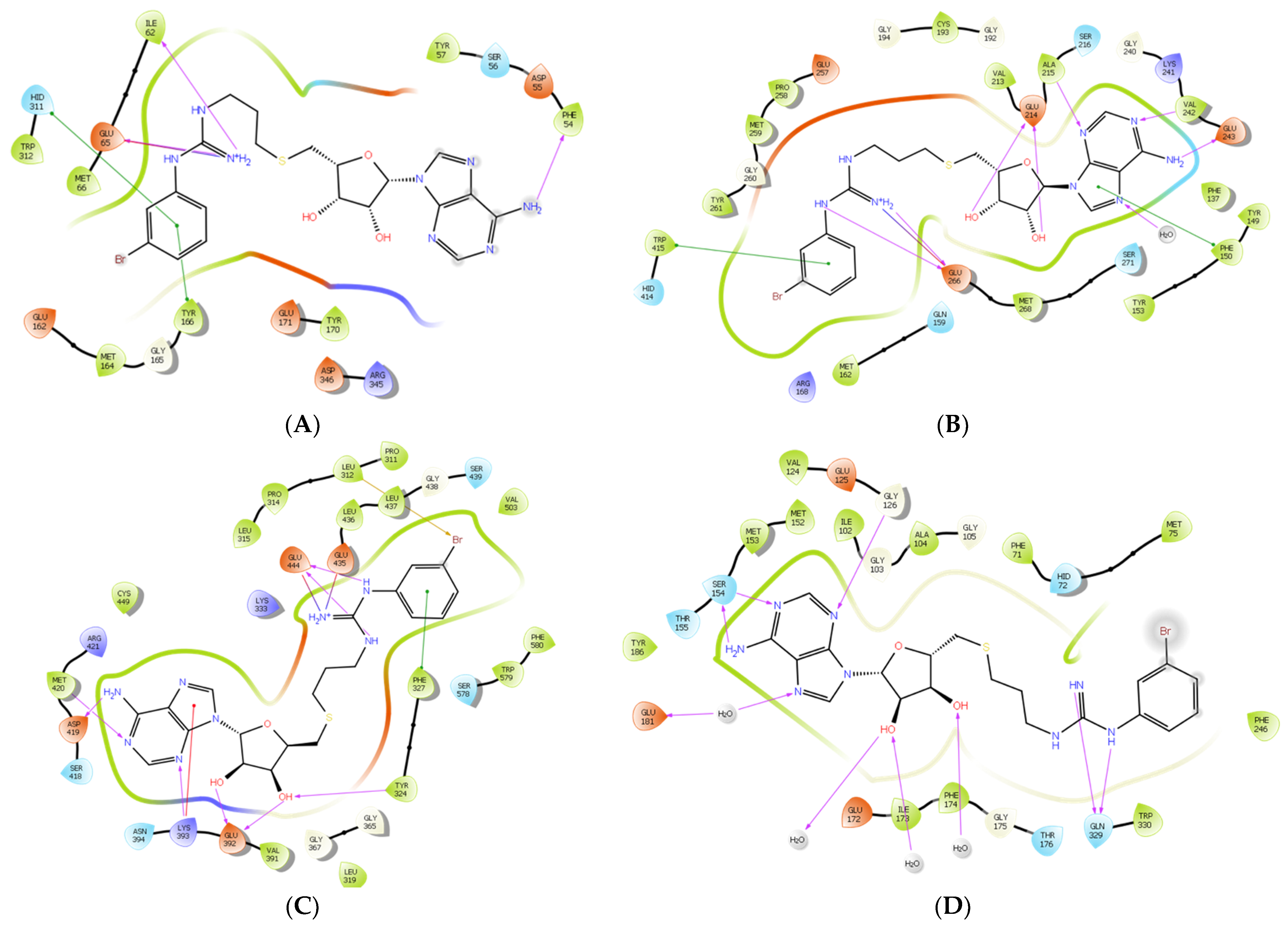 Biomolecules 11 00854 g008