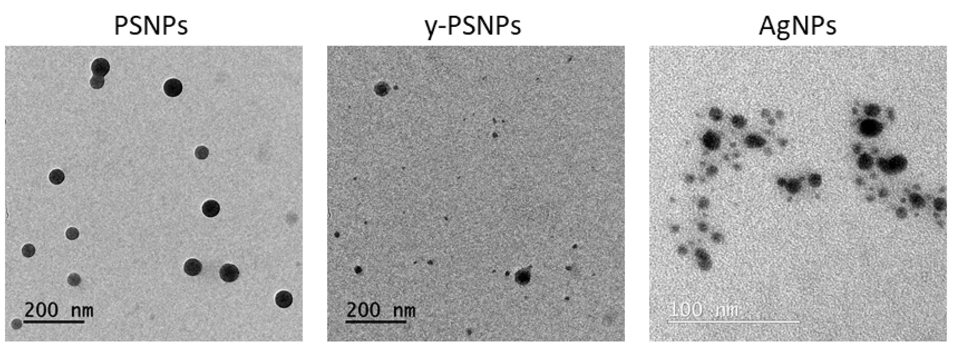 Biomolecules 11 00859 g001 Biomolecules 11 00859 g001
