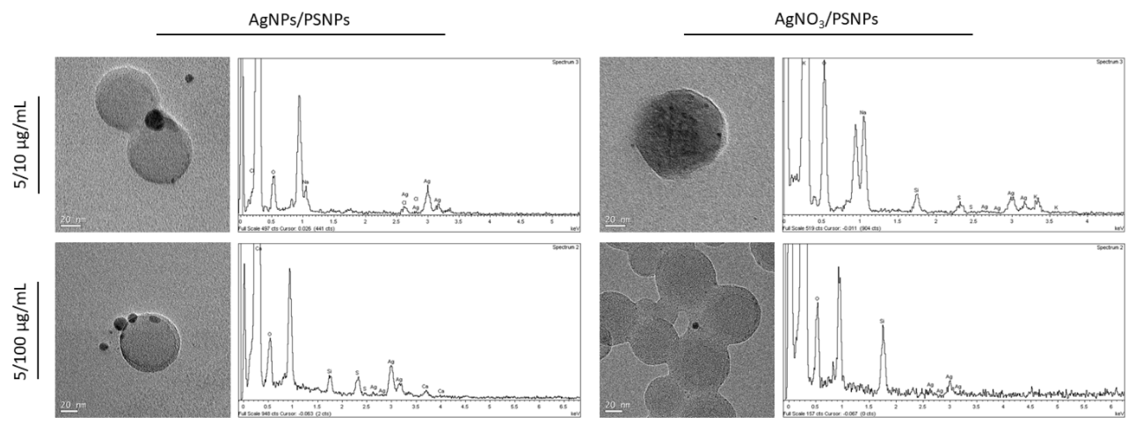 Biomolecules 11 00859 g003 Biomolecules 11 00859 g003