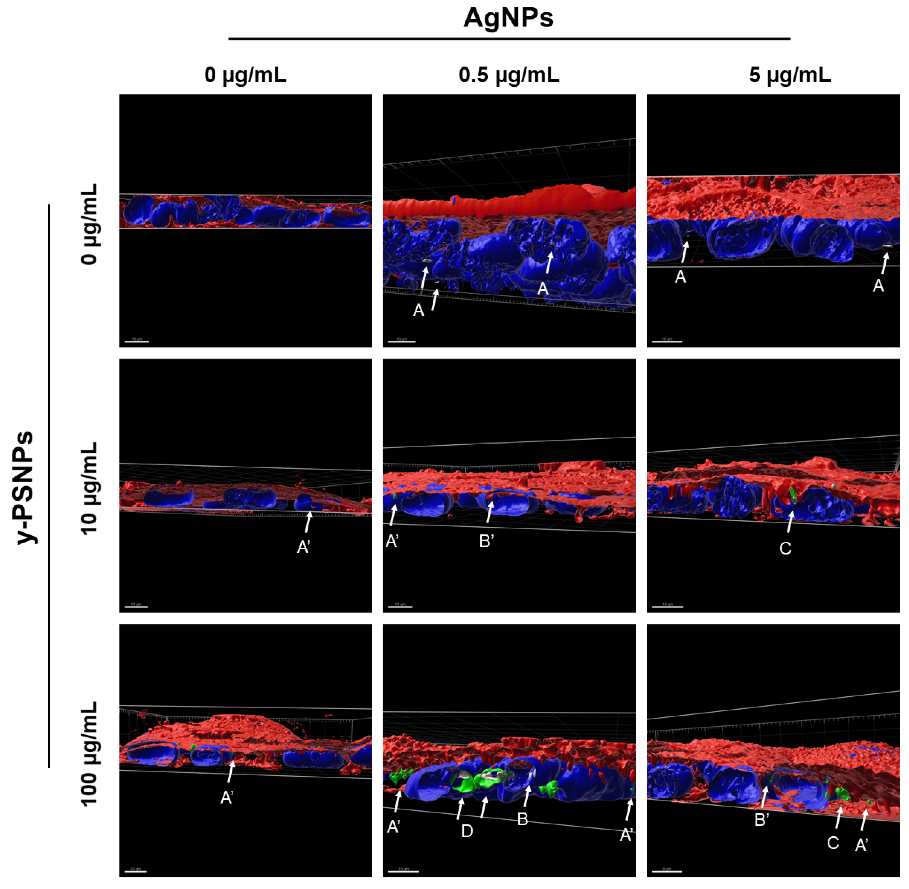 Biomolecules 11 00859 g005 Biomolecules 11 00859 g005