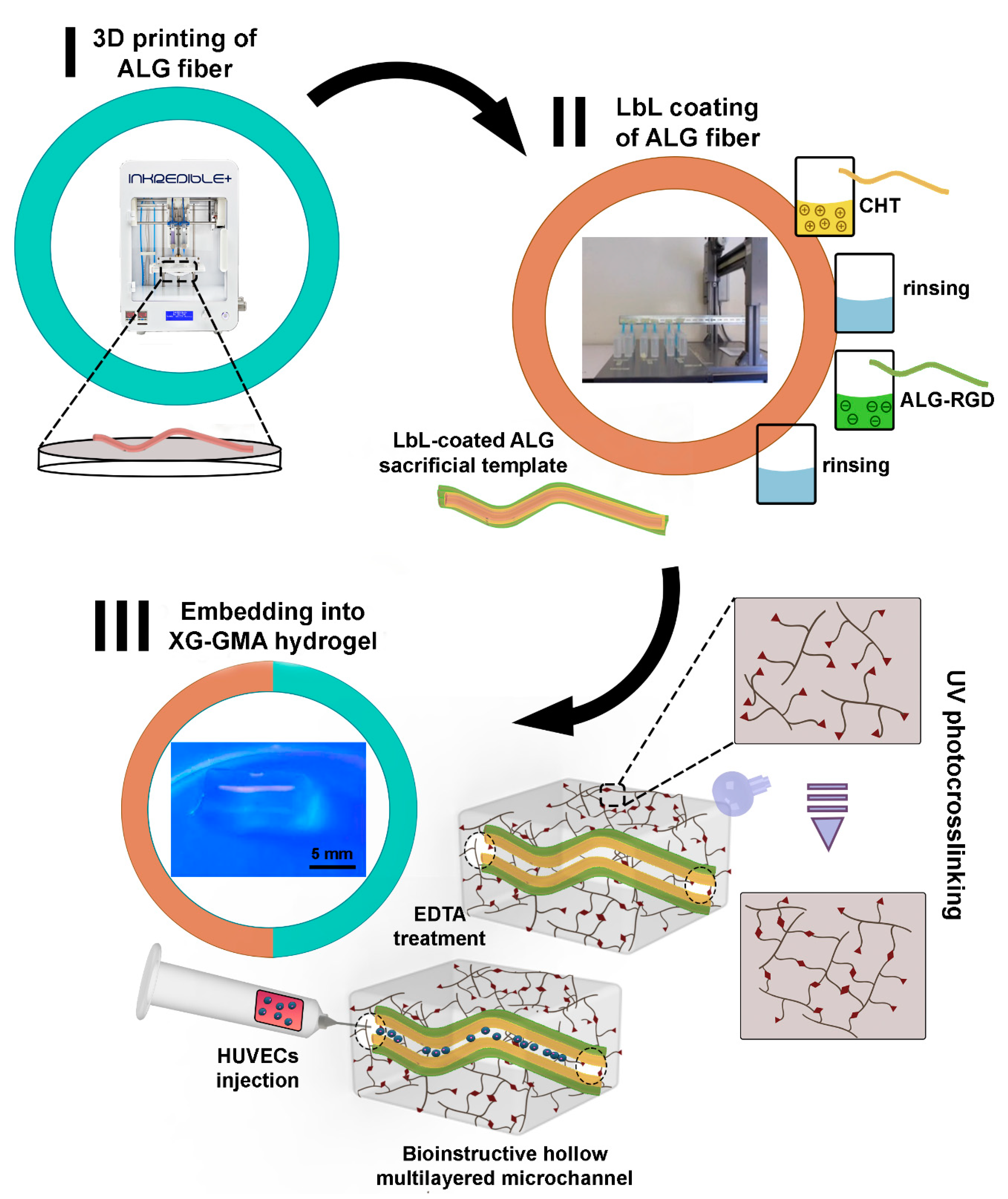 Biomolecules 11 00863 g001