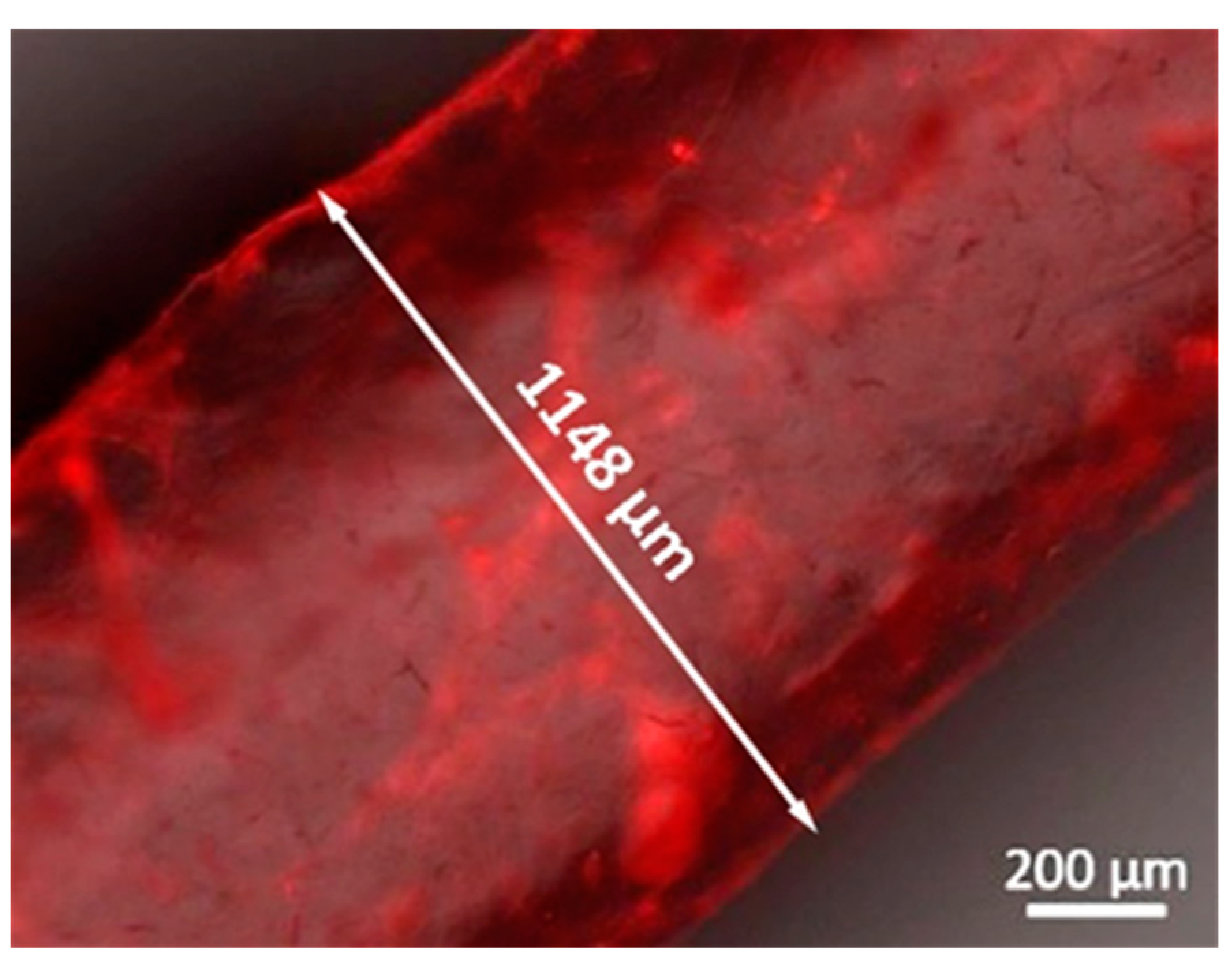 Biomolecules 11 00863 g004