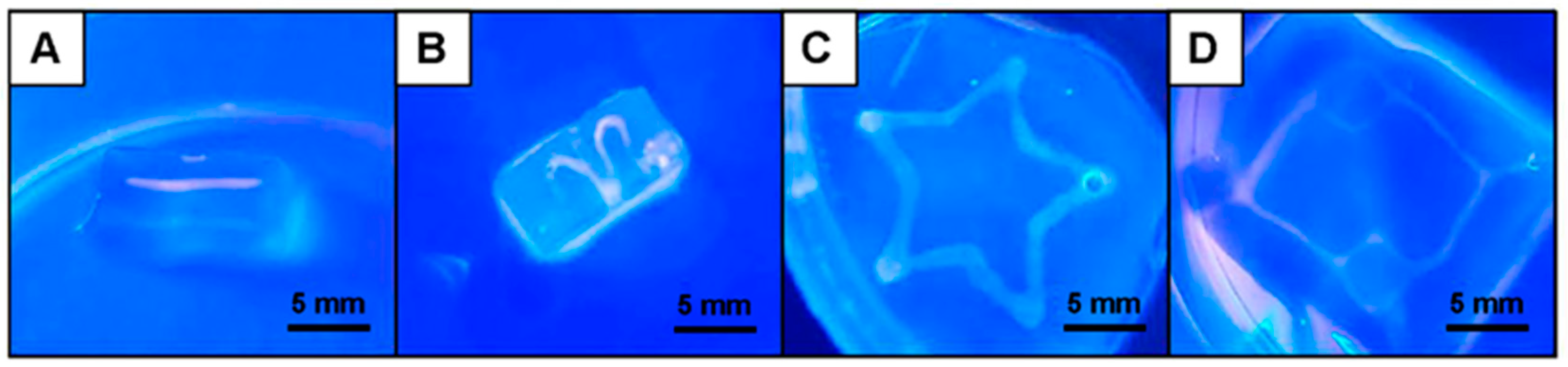 Biomolecules 11 00863 g005