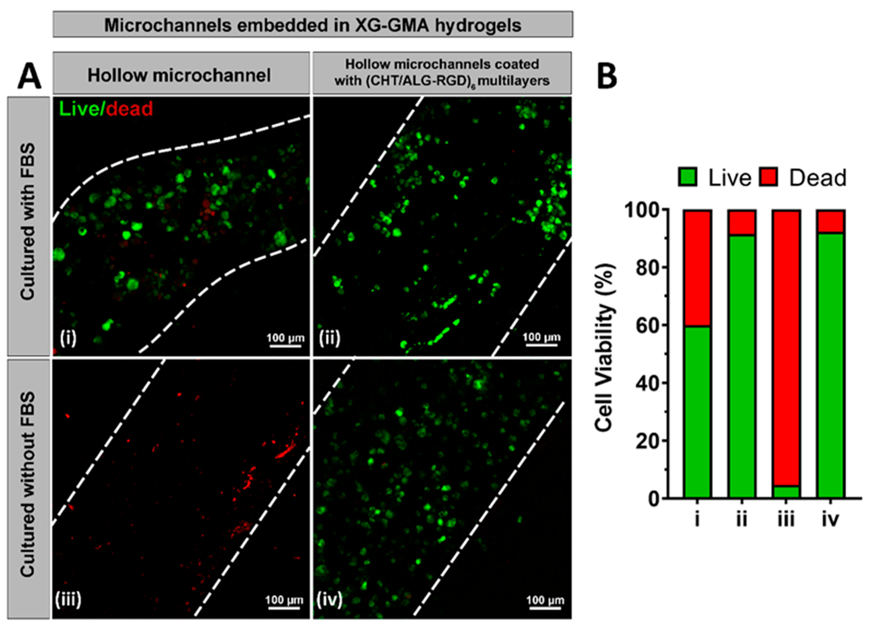 Biomolecules 11 00863 g007