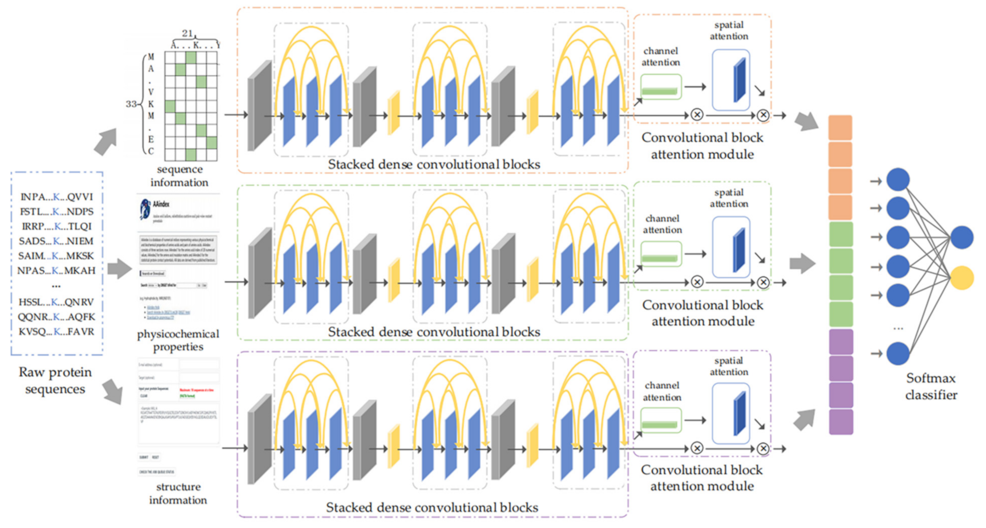 Biomolecules 11 00872 g001