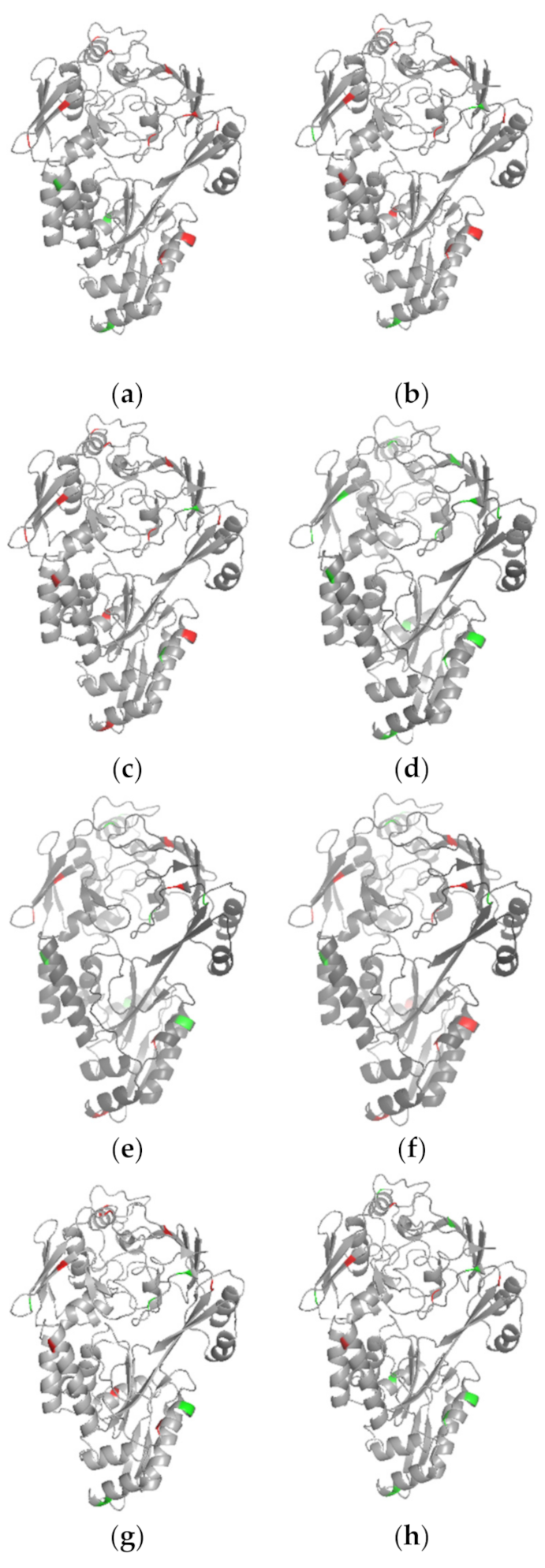 Biomolecules 11 00872 g007