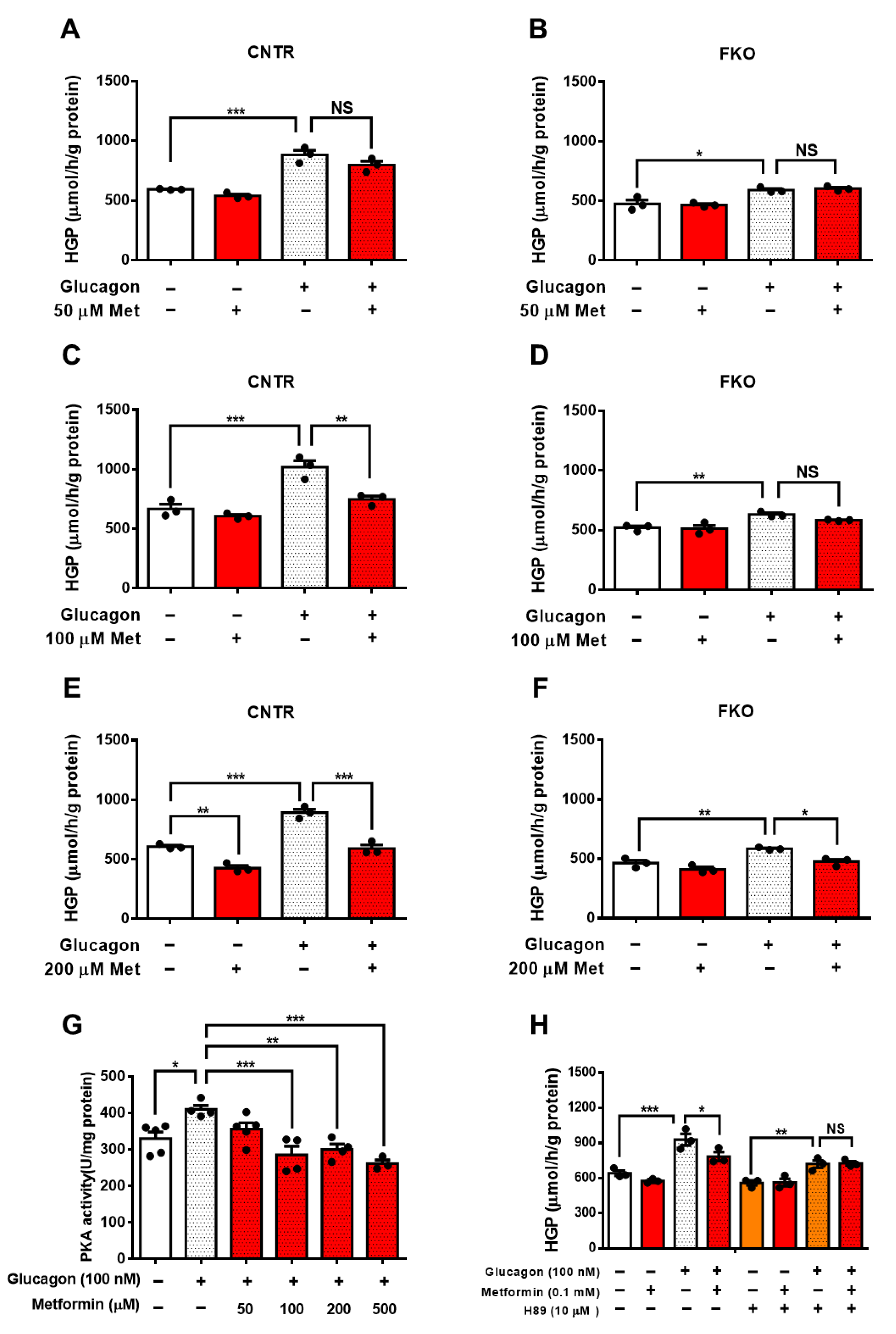 Biomolecules 11 00873 g001 Biomolecules 11 00873 g001