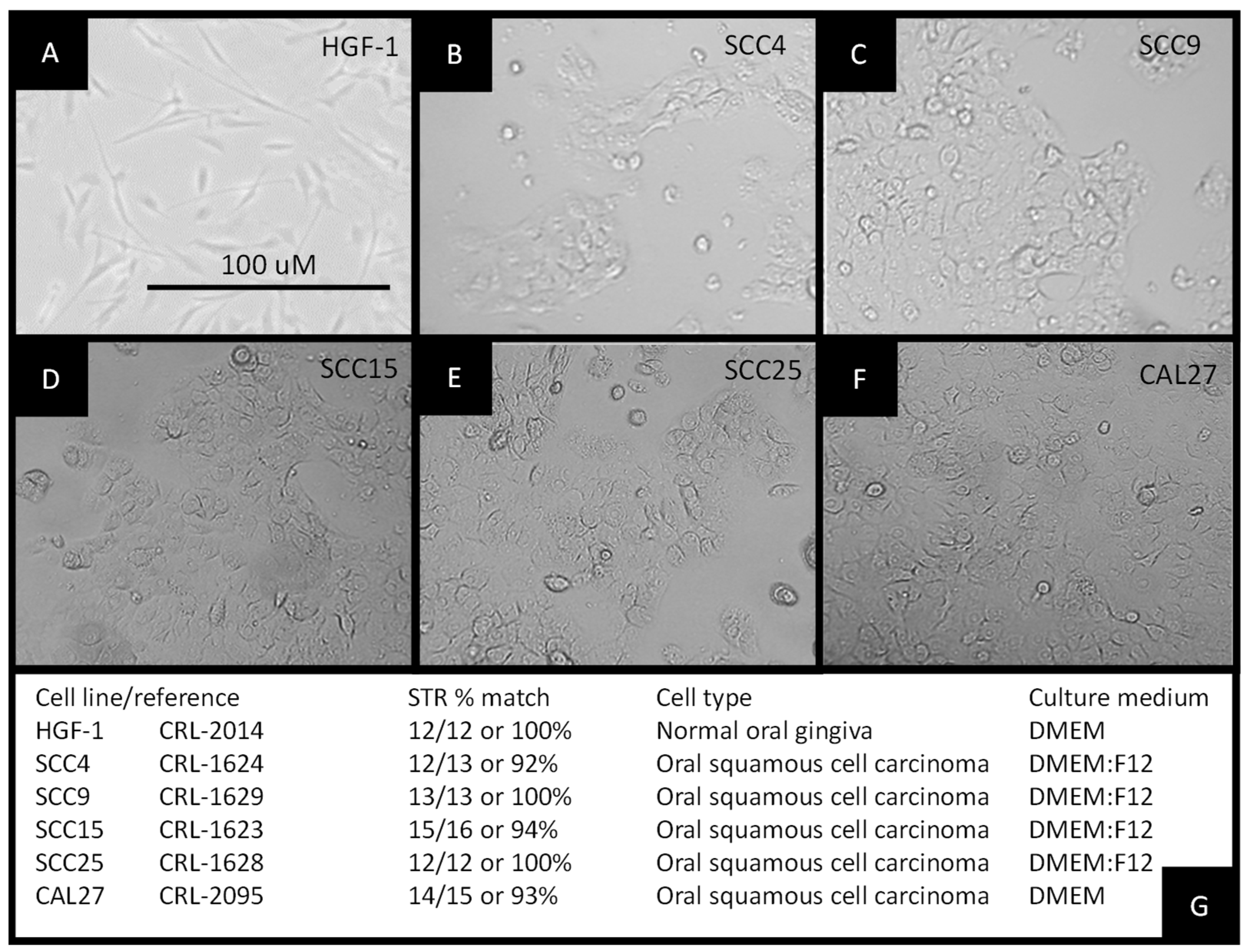 Biomolecules 11 00874 g001 Biomolecules 11 00874 g001