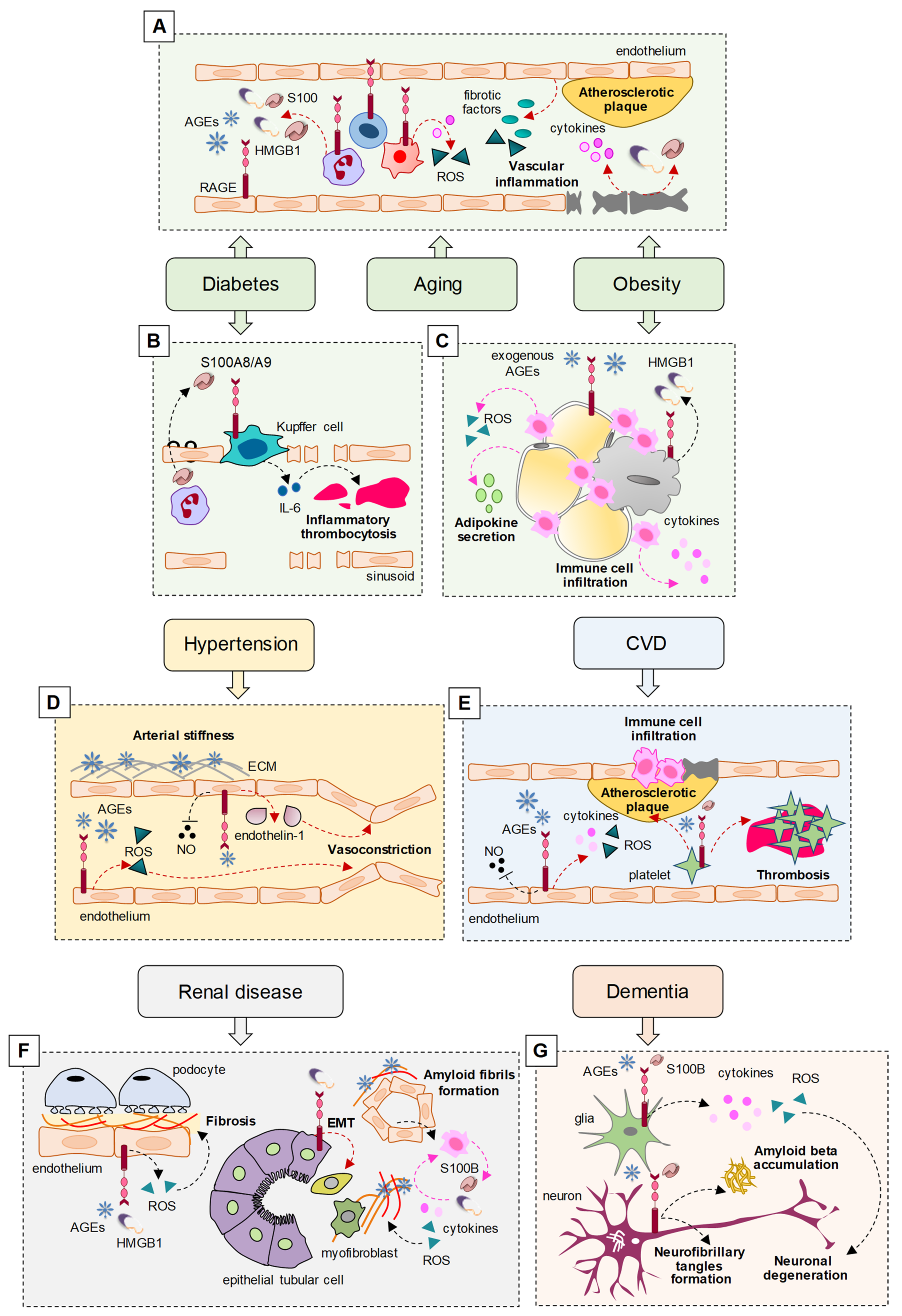 Biomolecules 11 00876 g001