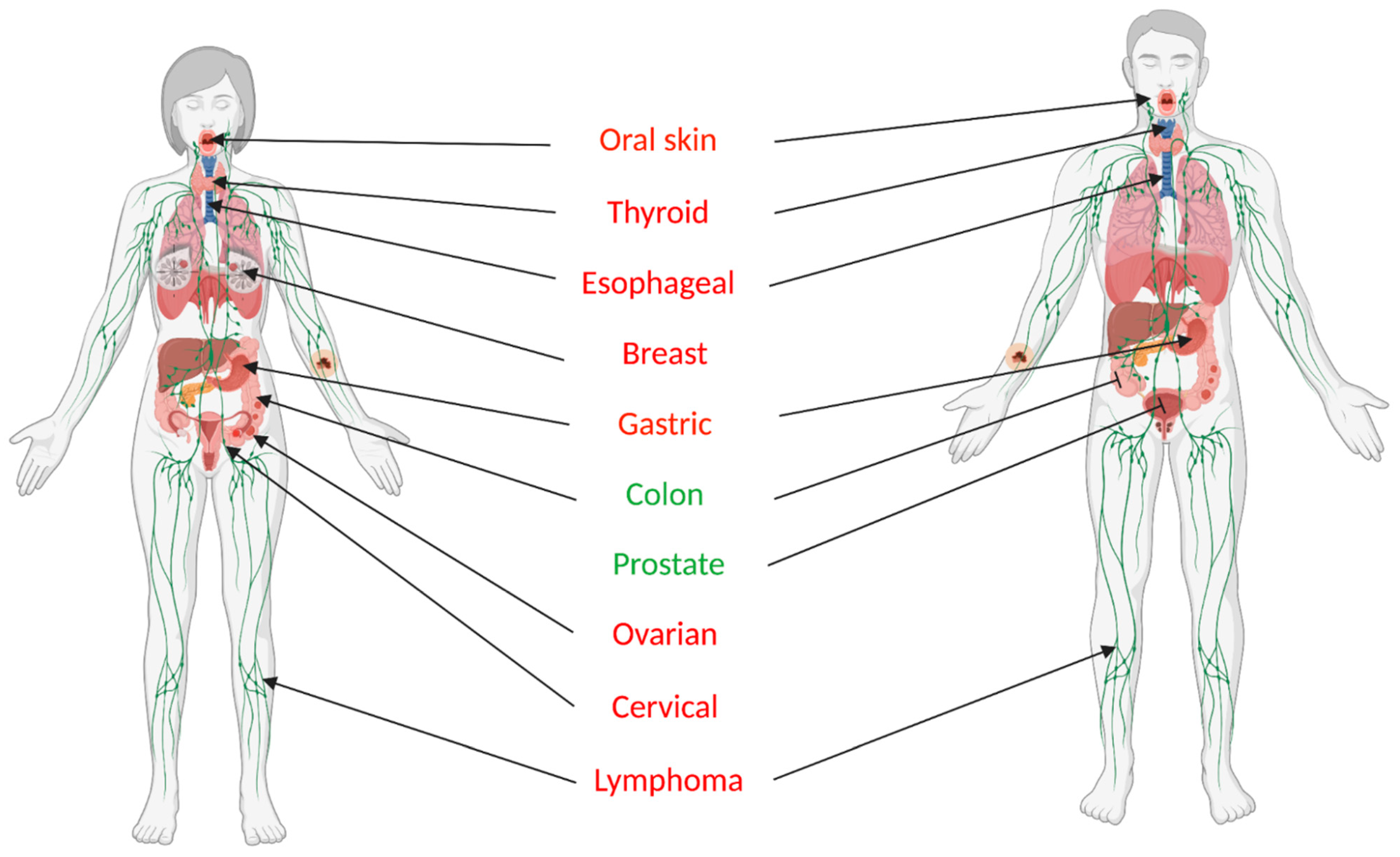 Biomolecules 11 00879 g001