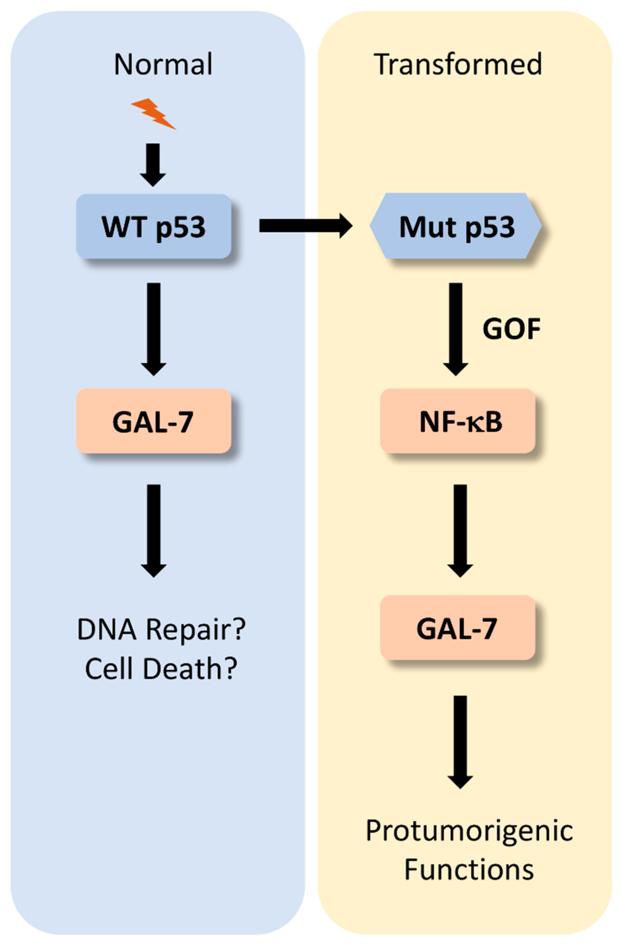 Biomolecules 11 00879 g002
