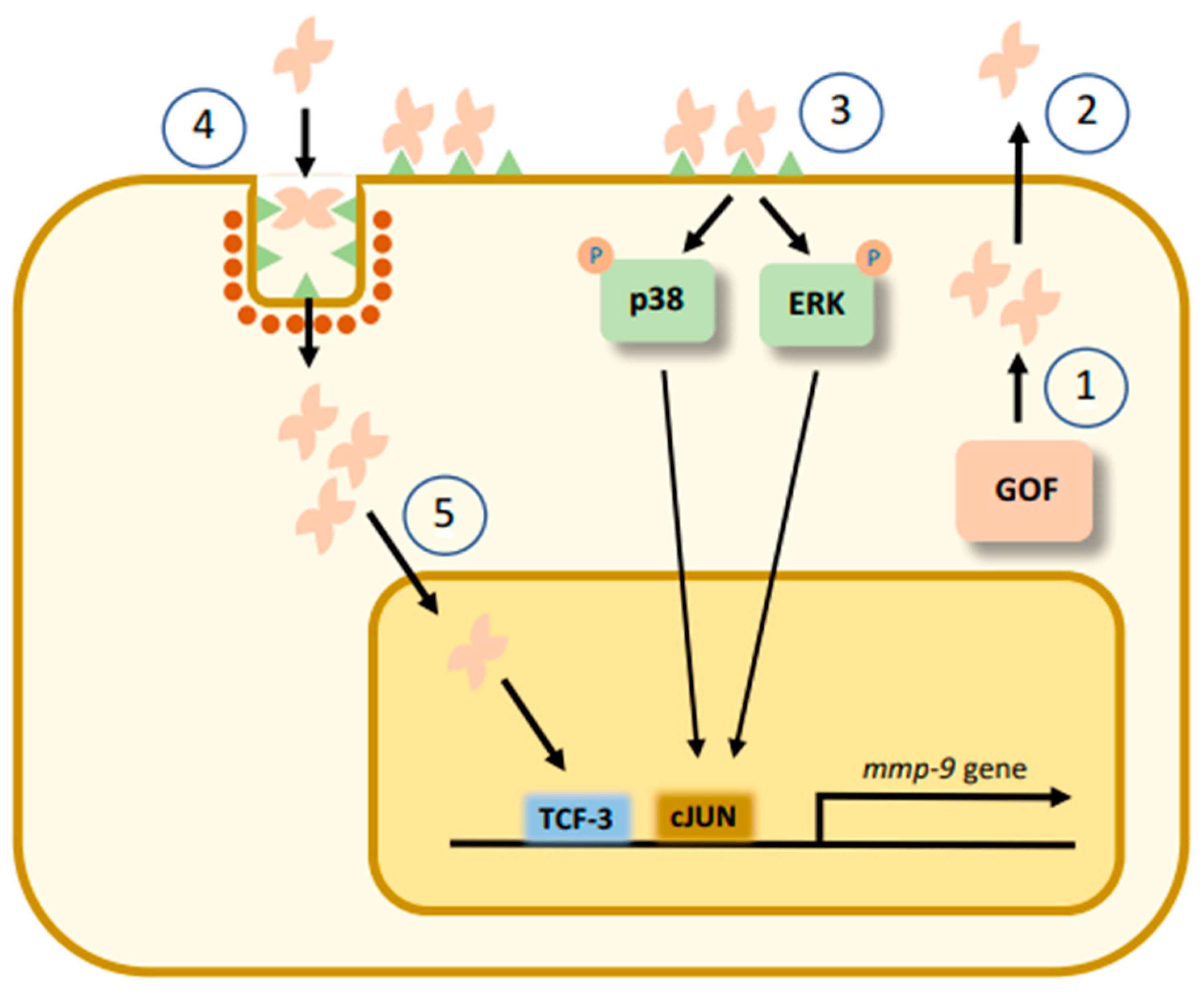Biomolecules 11 00879 g003