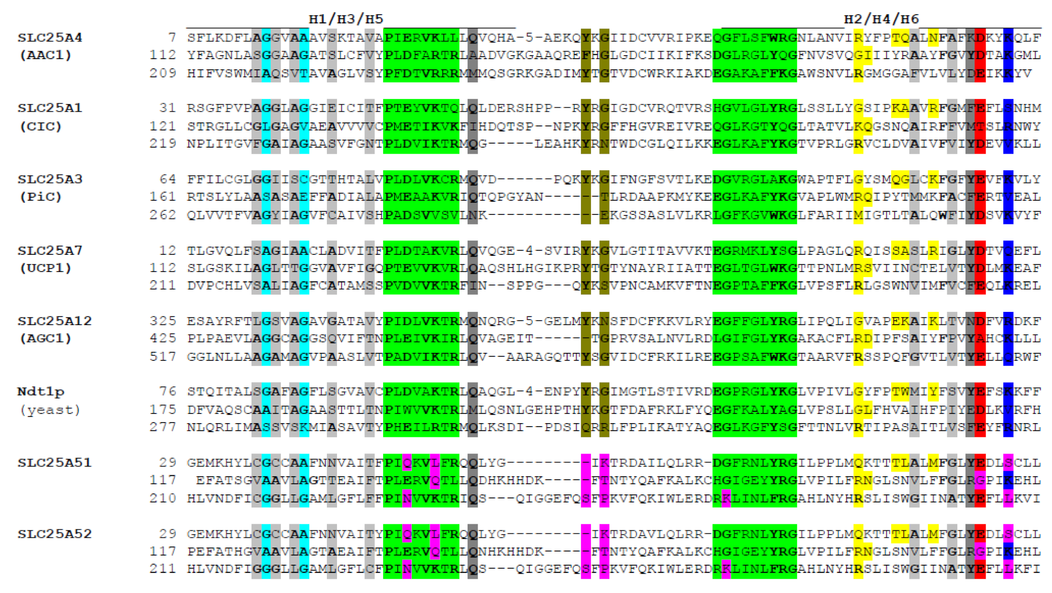 Biomolecules 11 00880 g002
