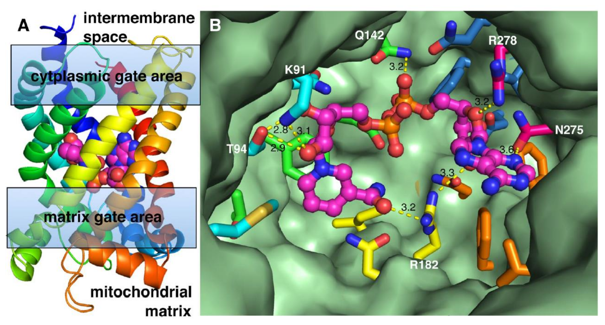 Biomolecules 11 00880 g003