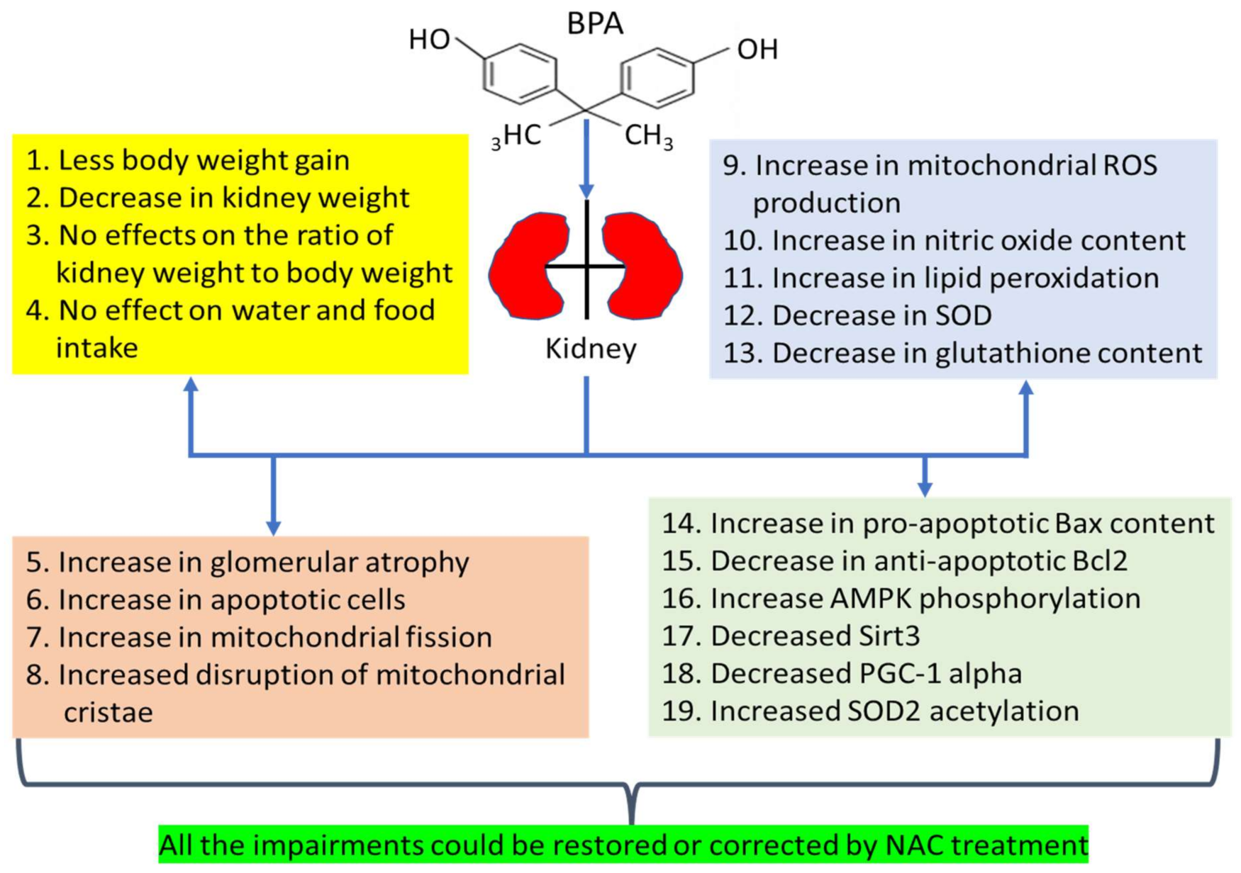 Biomolecules 11 00888 g002