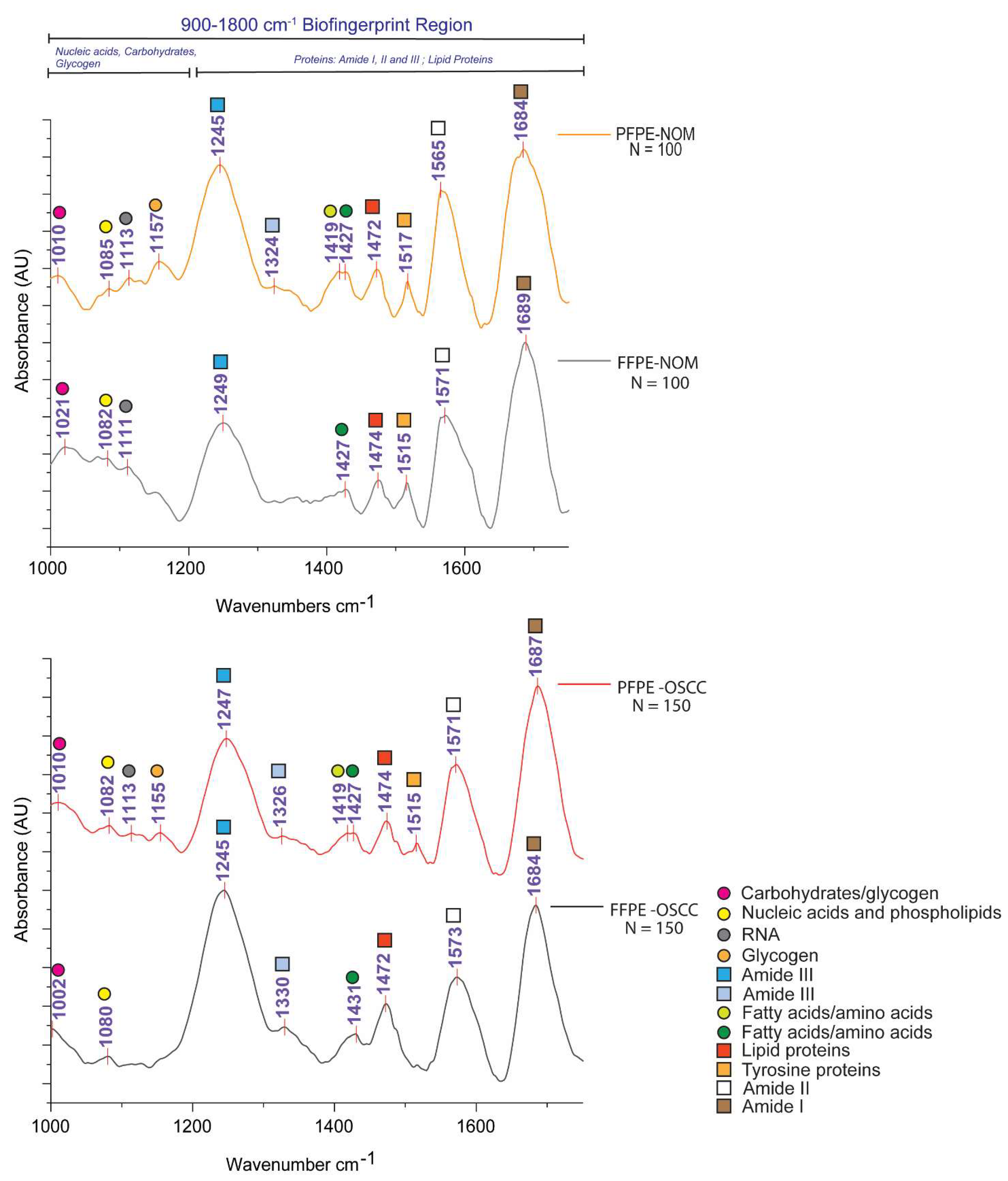 Biomolecules 11 00889 g005 Biomolecules 11 00889 g005