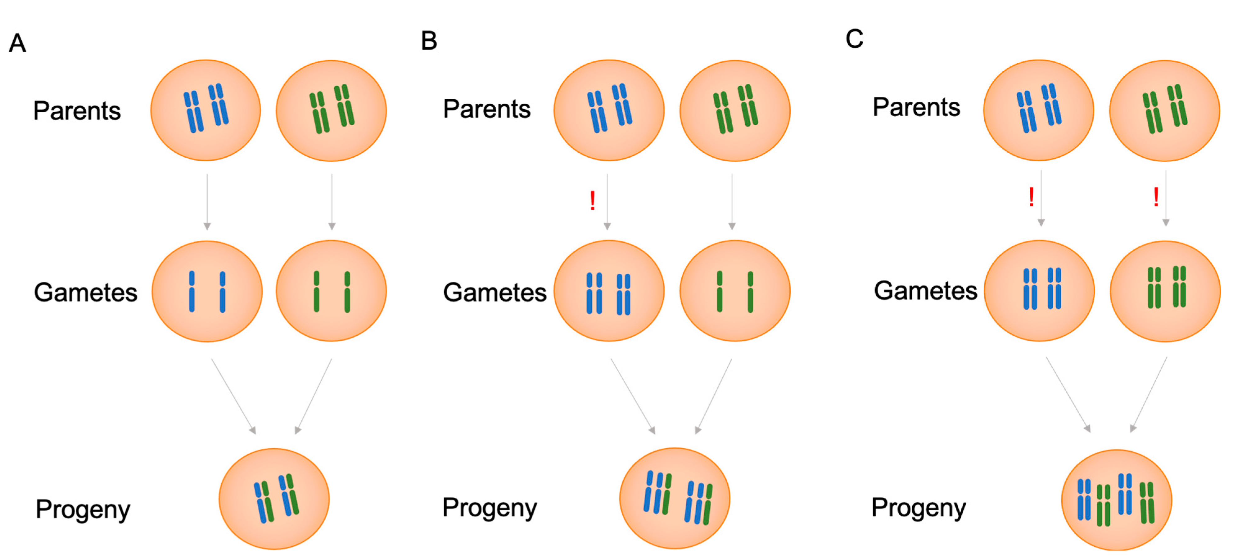 Biomolecules 11 00899 g001