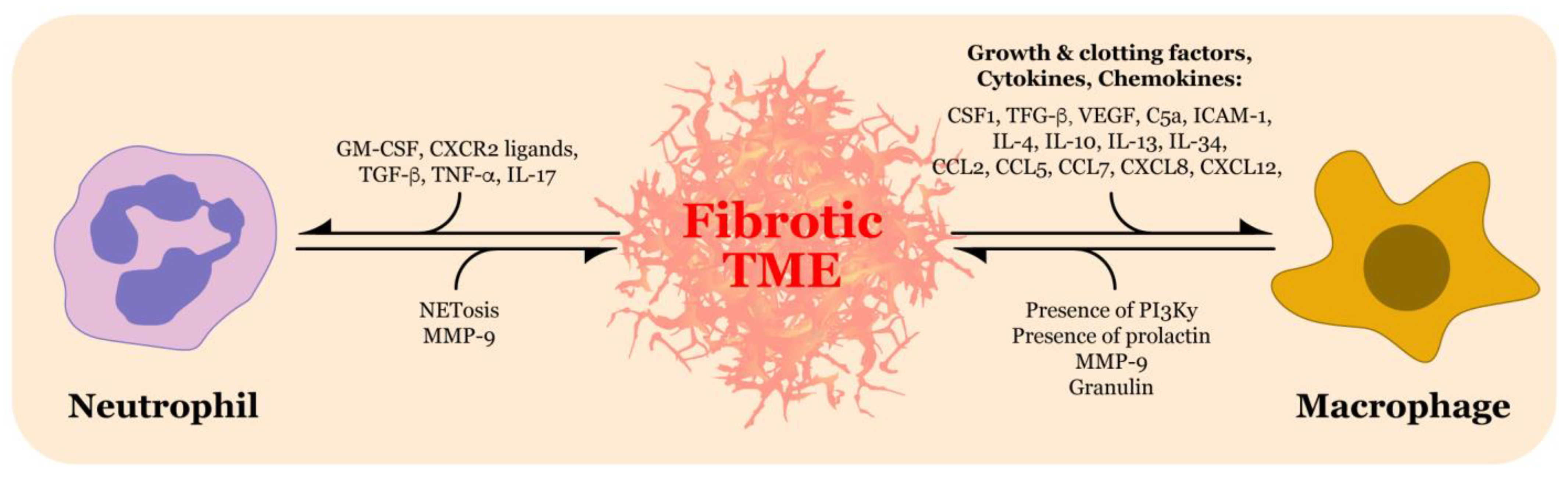 Biomolecules 11 00901 g001 Biomolecules 11 00901 g001