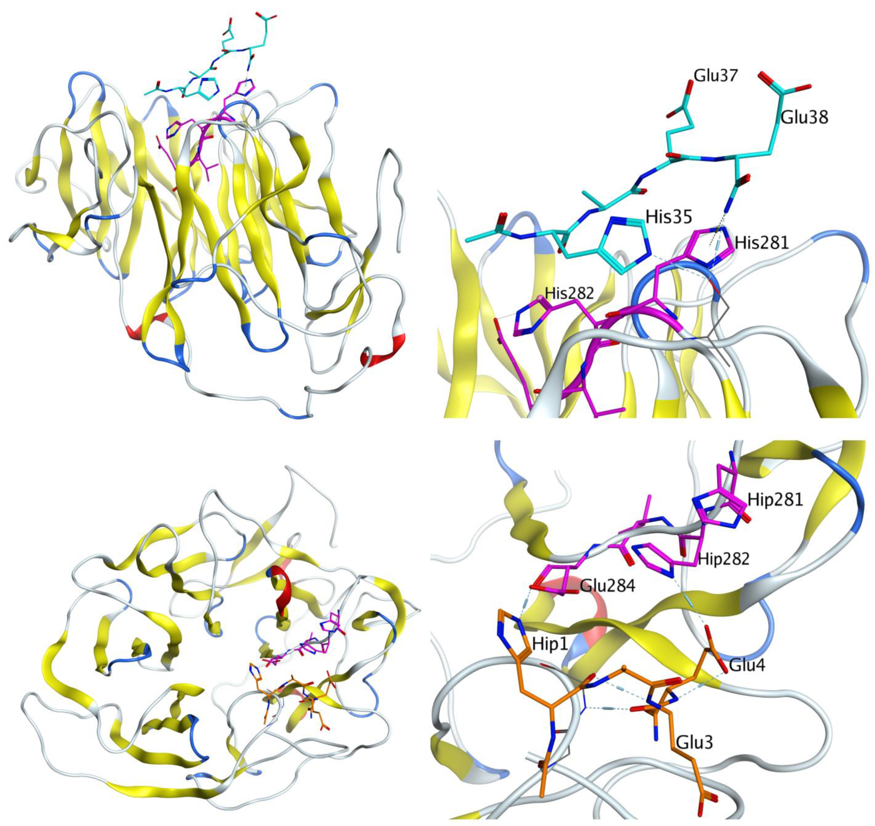 Biomolecules 11 00909 g004