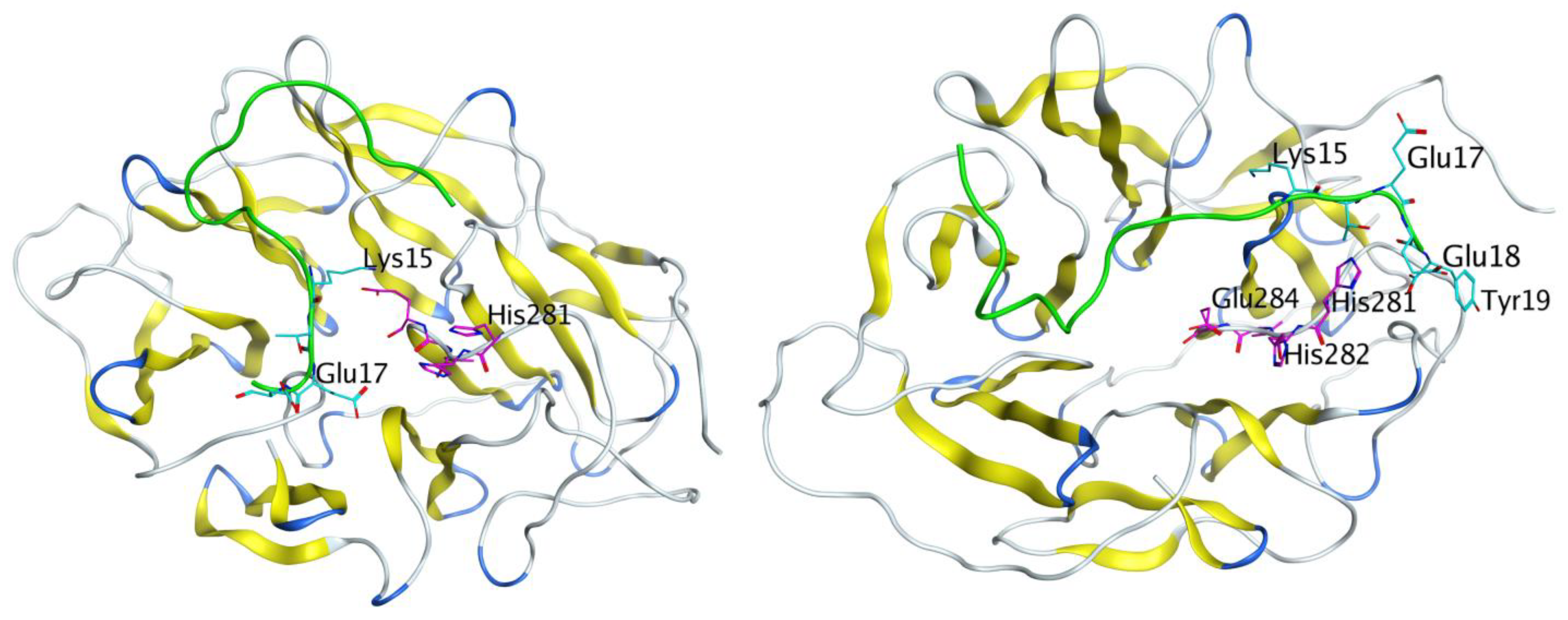 Biomolecules 11 00909 g006