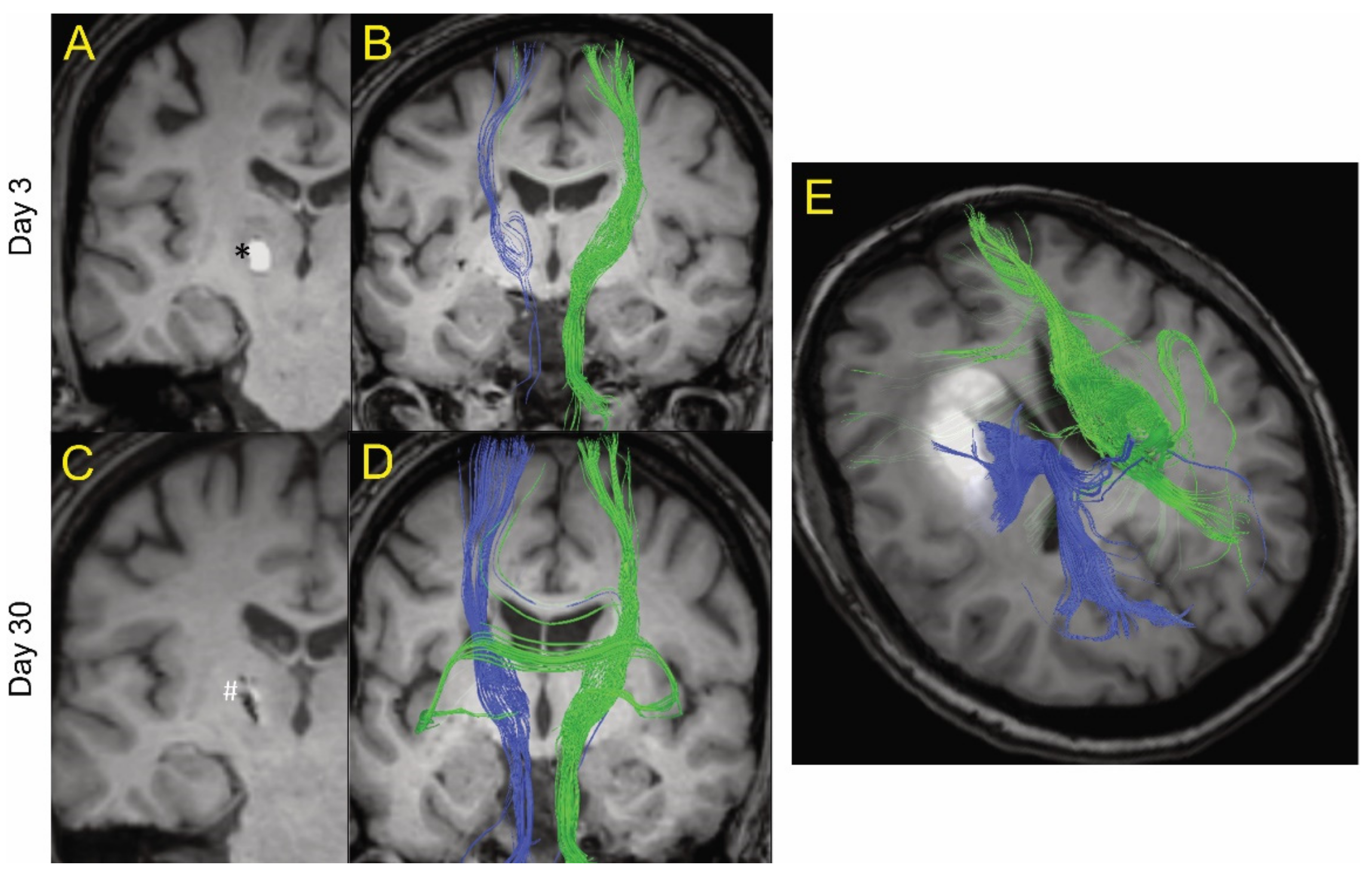 Biomolecules 11 00910 g001 Biomolecules 11 00910 g001