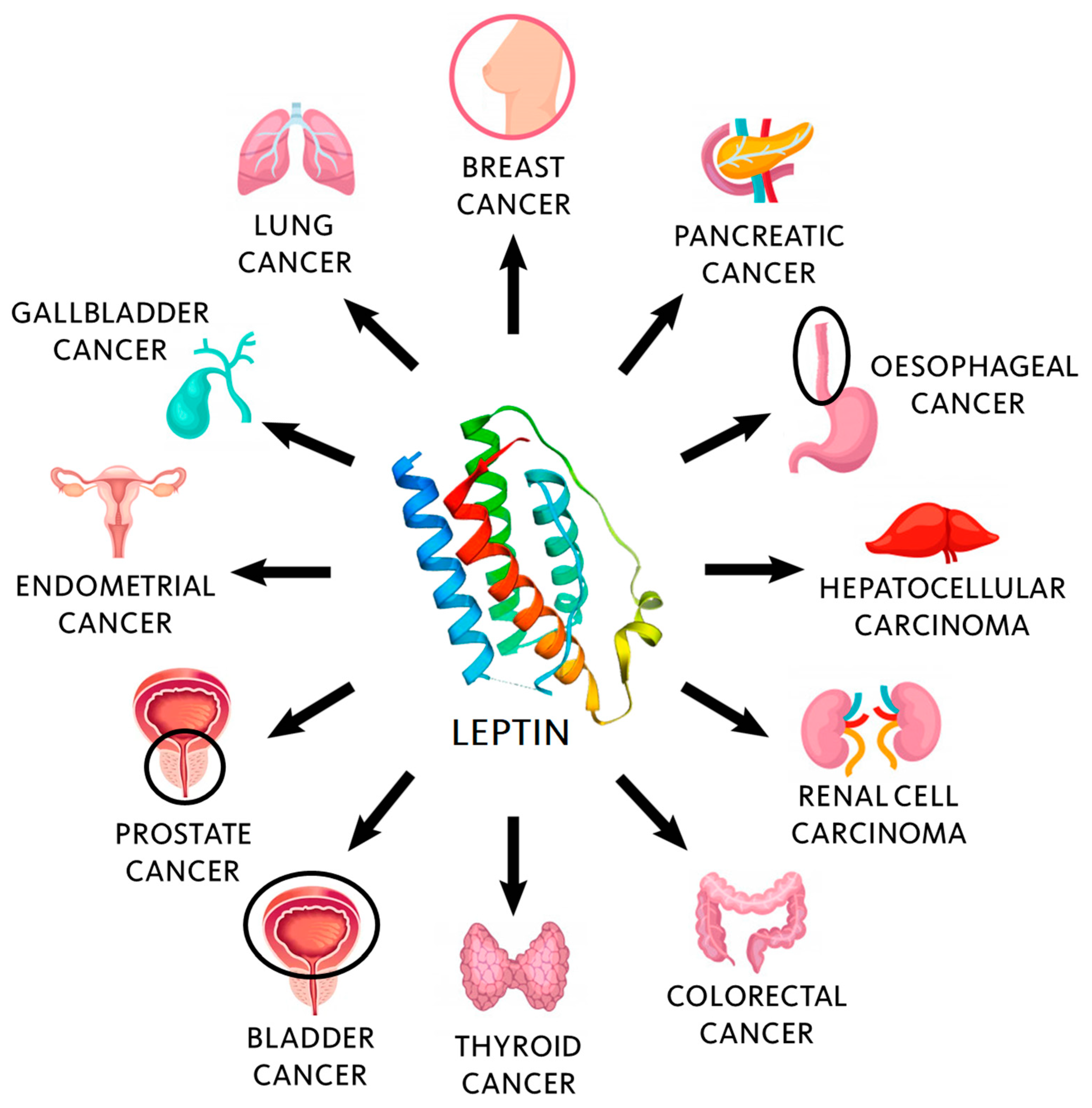 Biomolecules 11 00913 g001