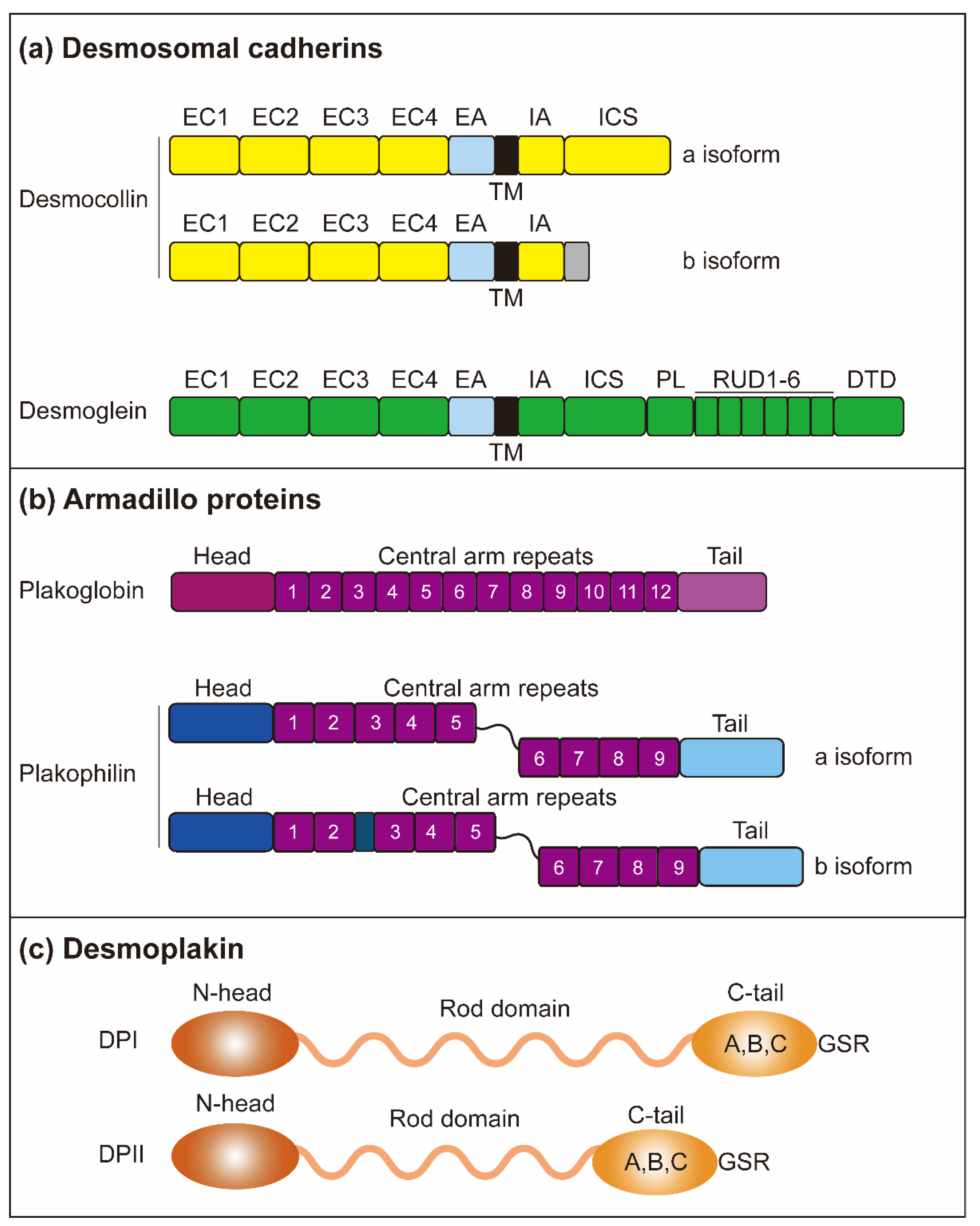 Biomolecules 11 00914 g002