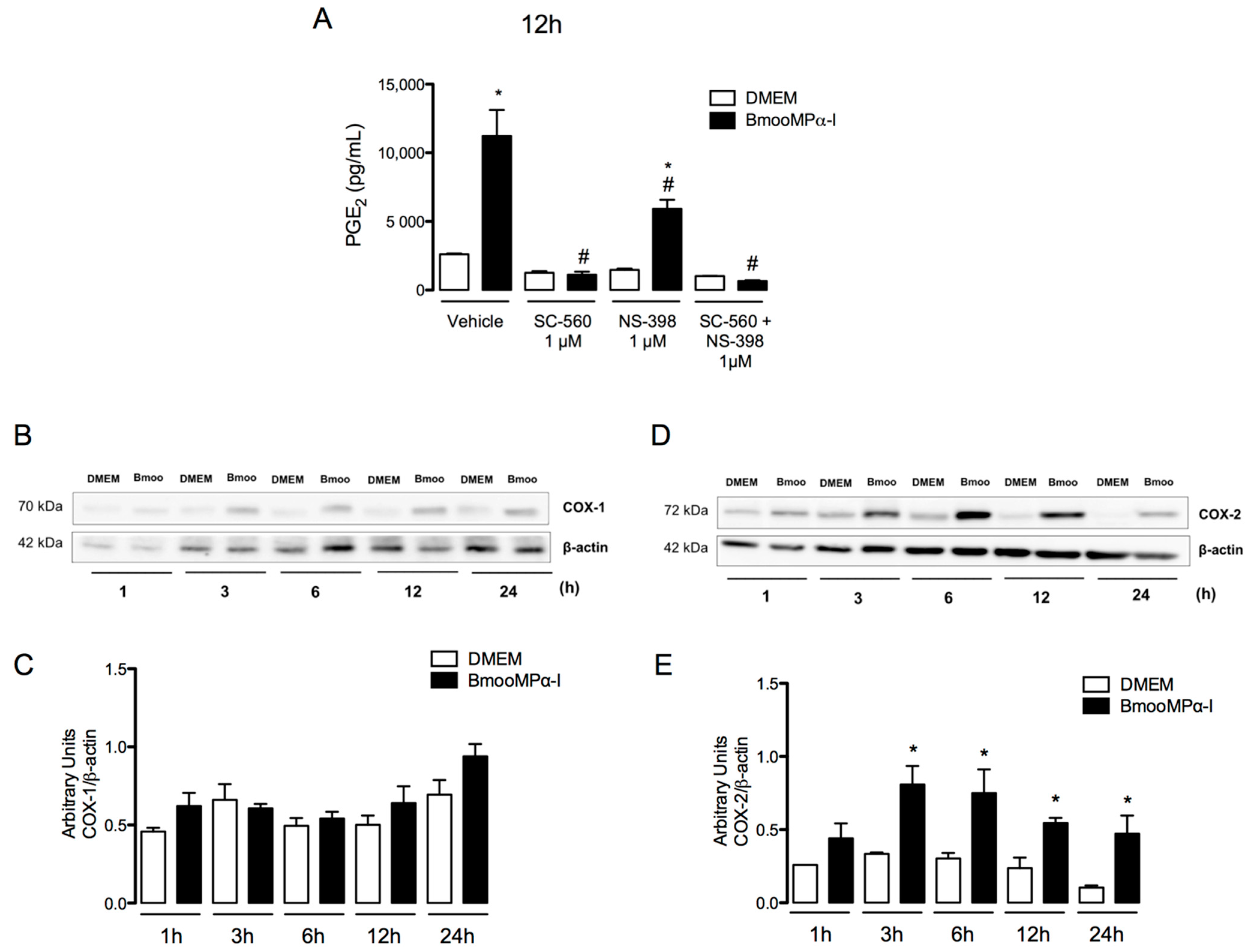 Biomolecules 11 00921 g002
