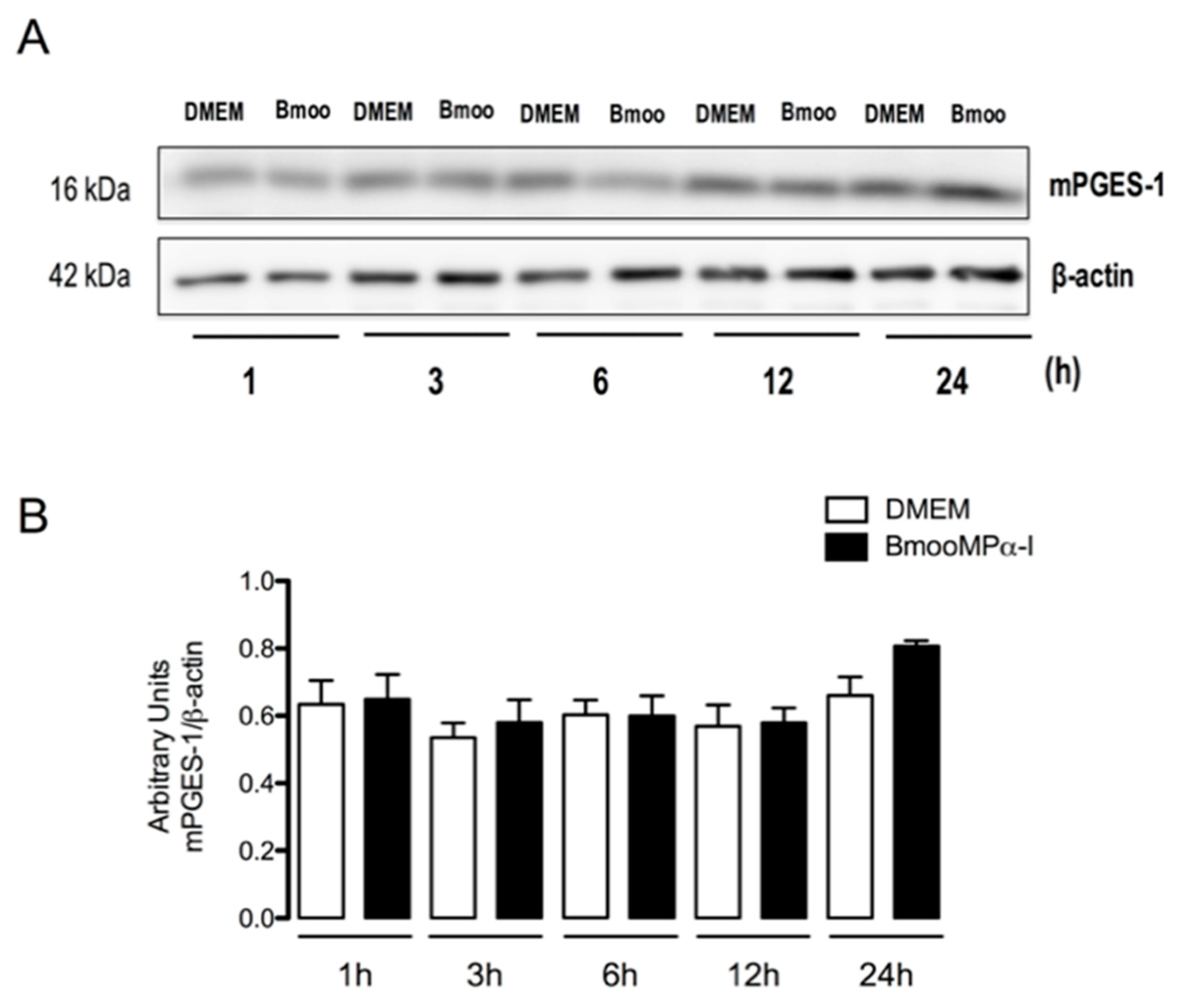 Biomolecules 11 00921 g003