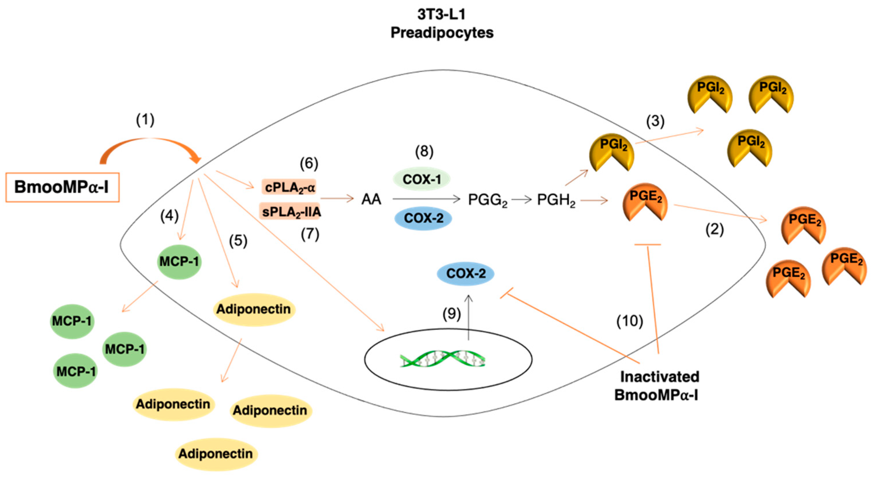 Biomolecules 11 00921 sch001