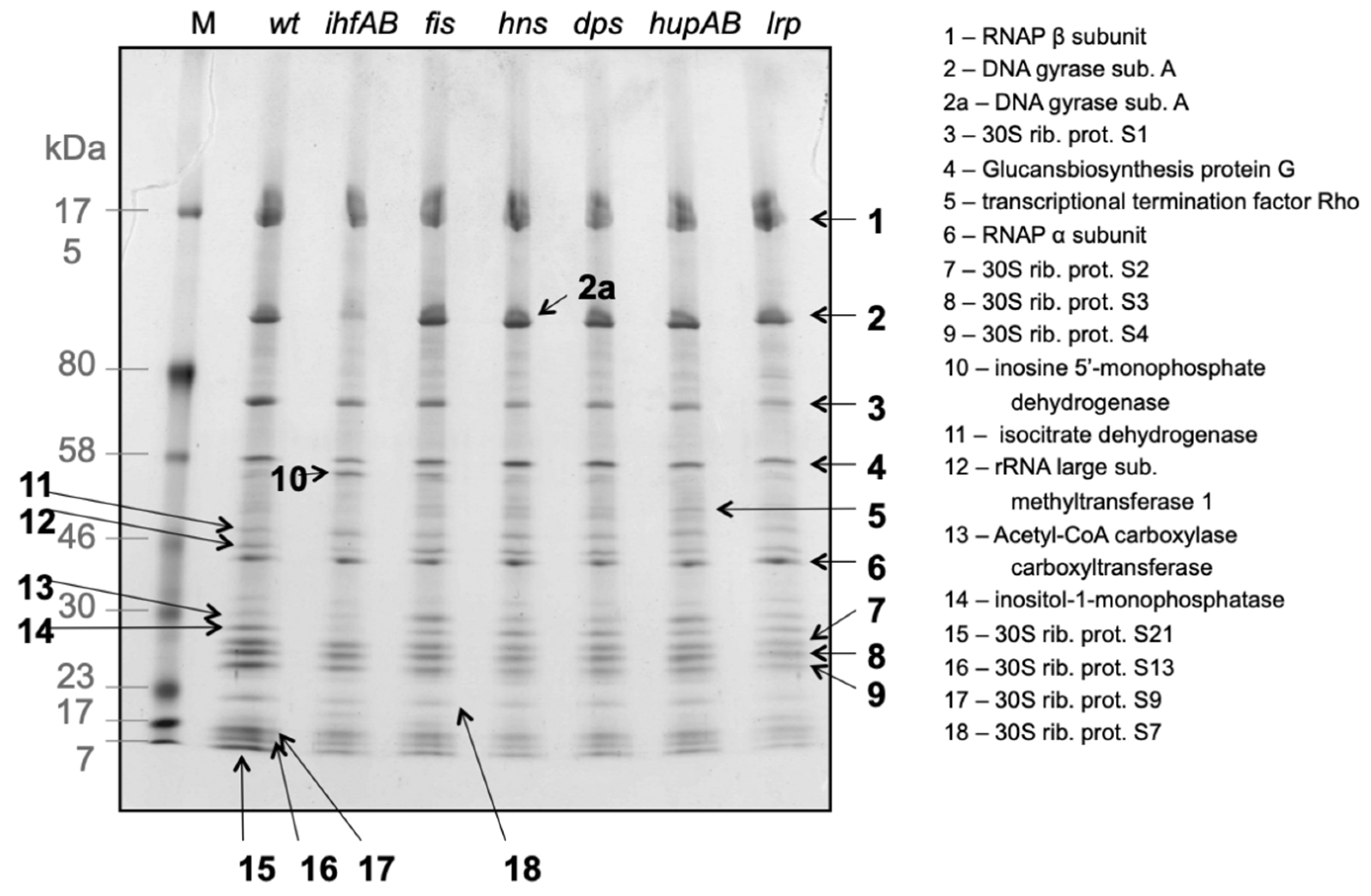 Biomolecules 11 00924 g001 Biomolecules 11 00924 g001