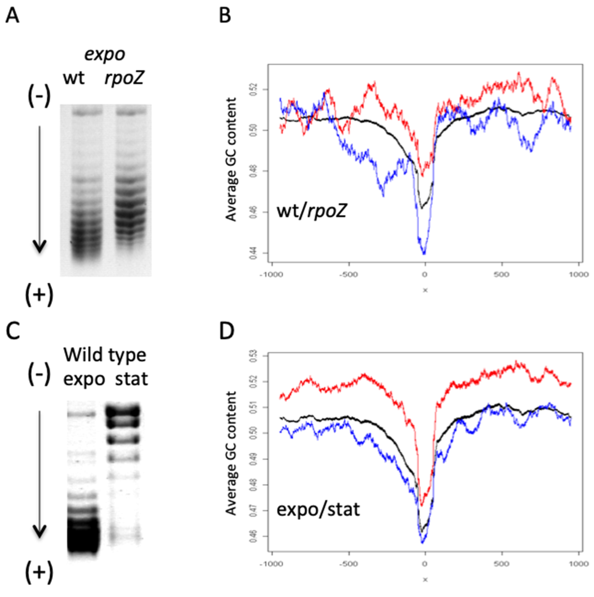 Biomolecules 11 00924 g004 Biomolecules 11 00924 g004