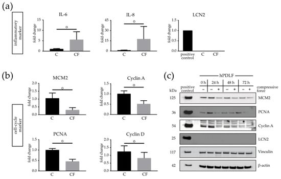 Biomolecules 11 00932 g005 550