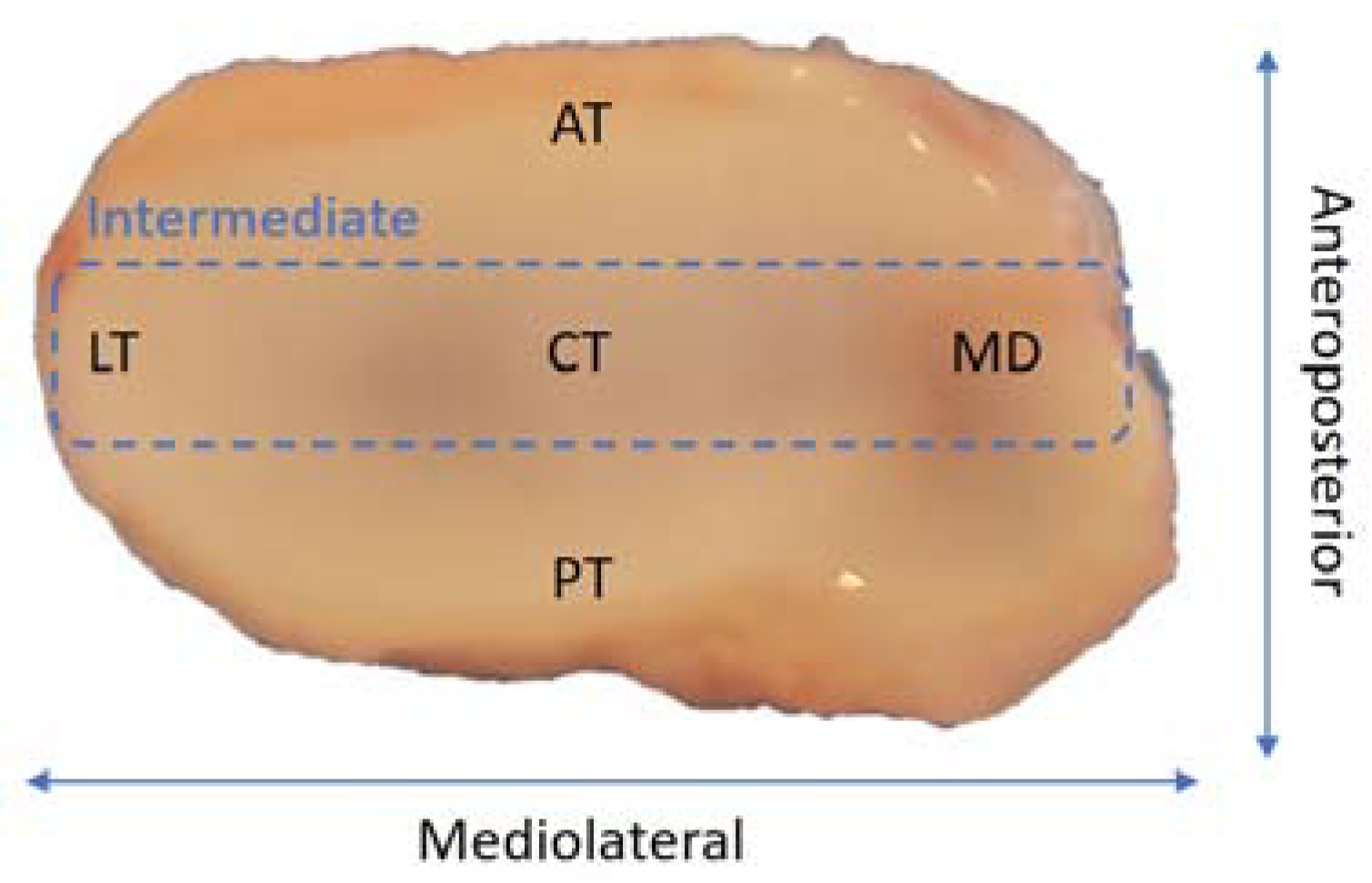 Biomolecules 11 00933 g001