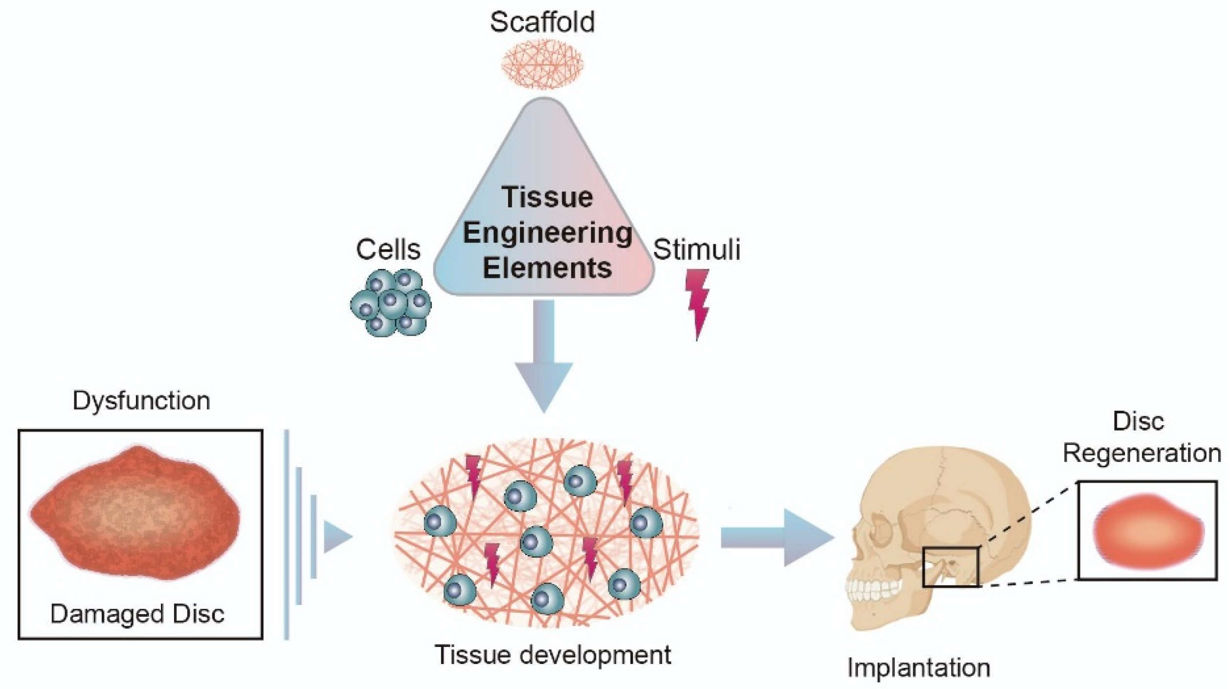 Biomolecules 11 00933 g002
