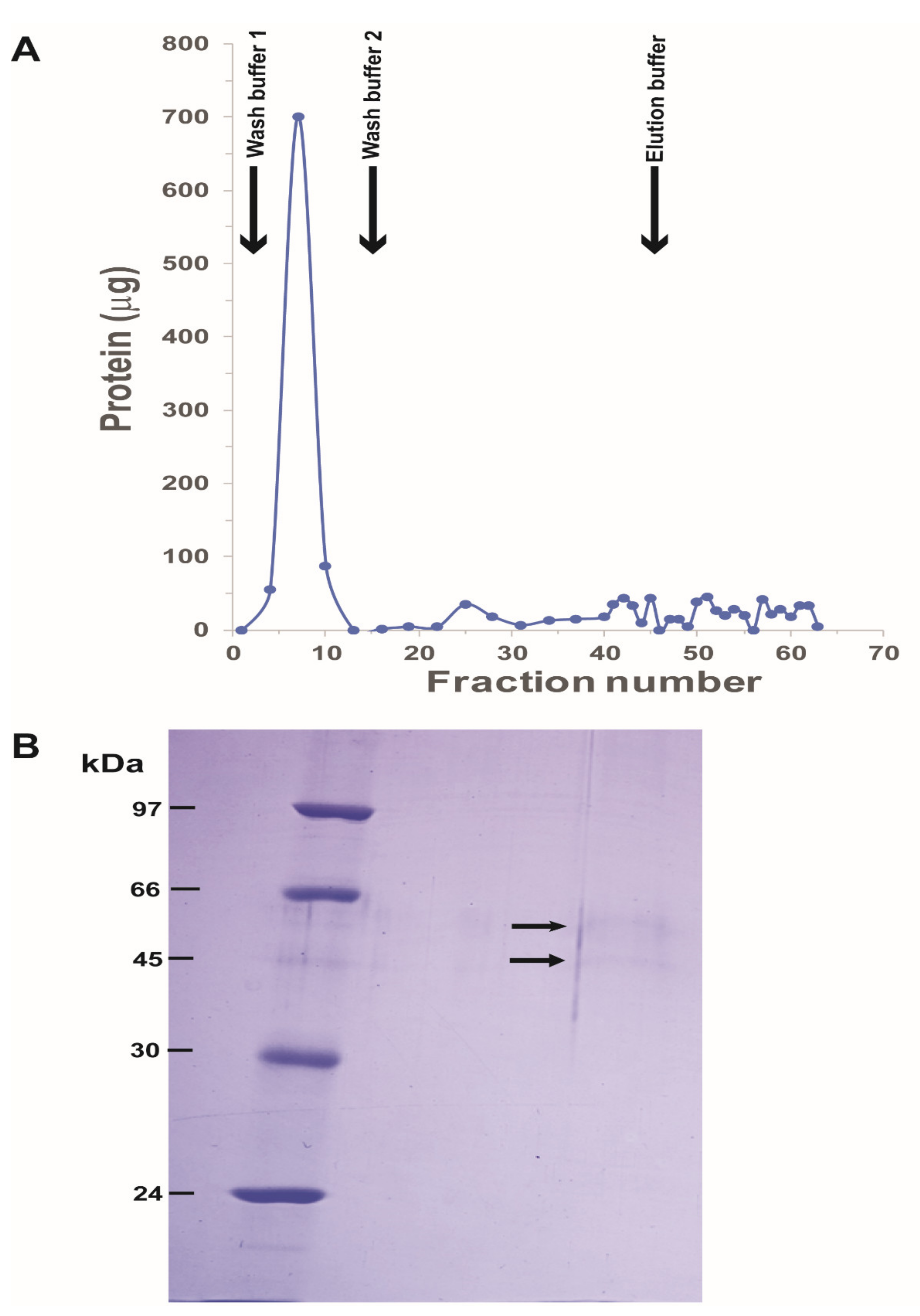 Biomolecules 11 00934 g001