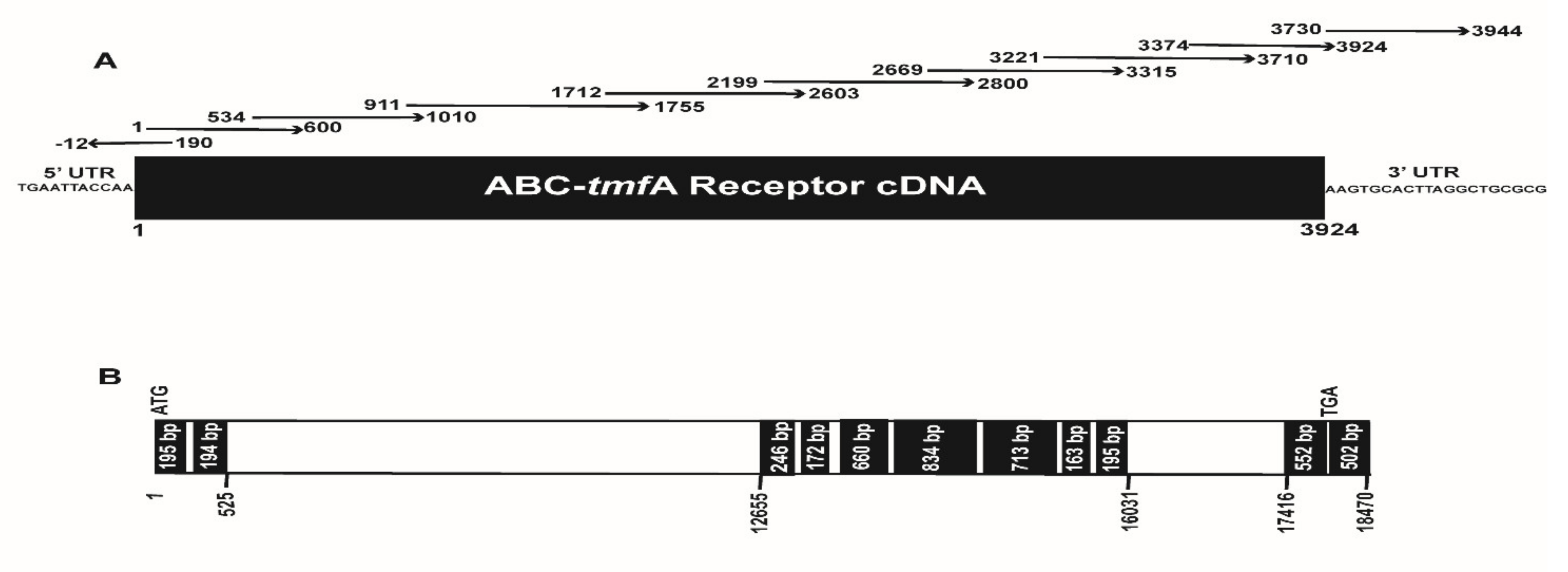 Biomolecules 11 00934 g002